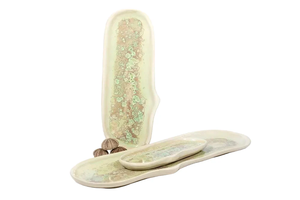 Large Razor Clam Tray Collection - Image 4