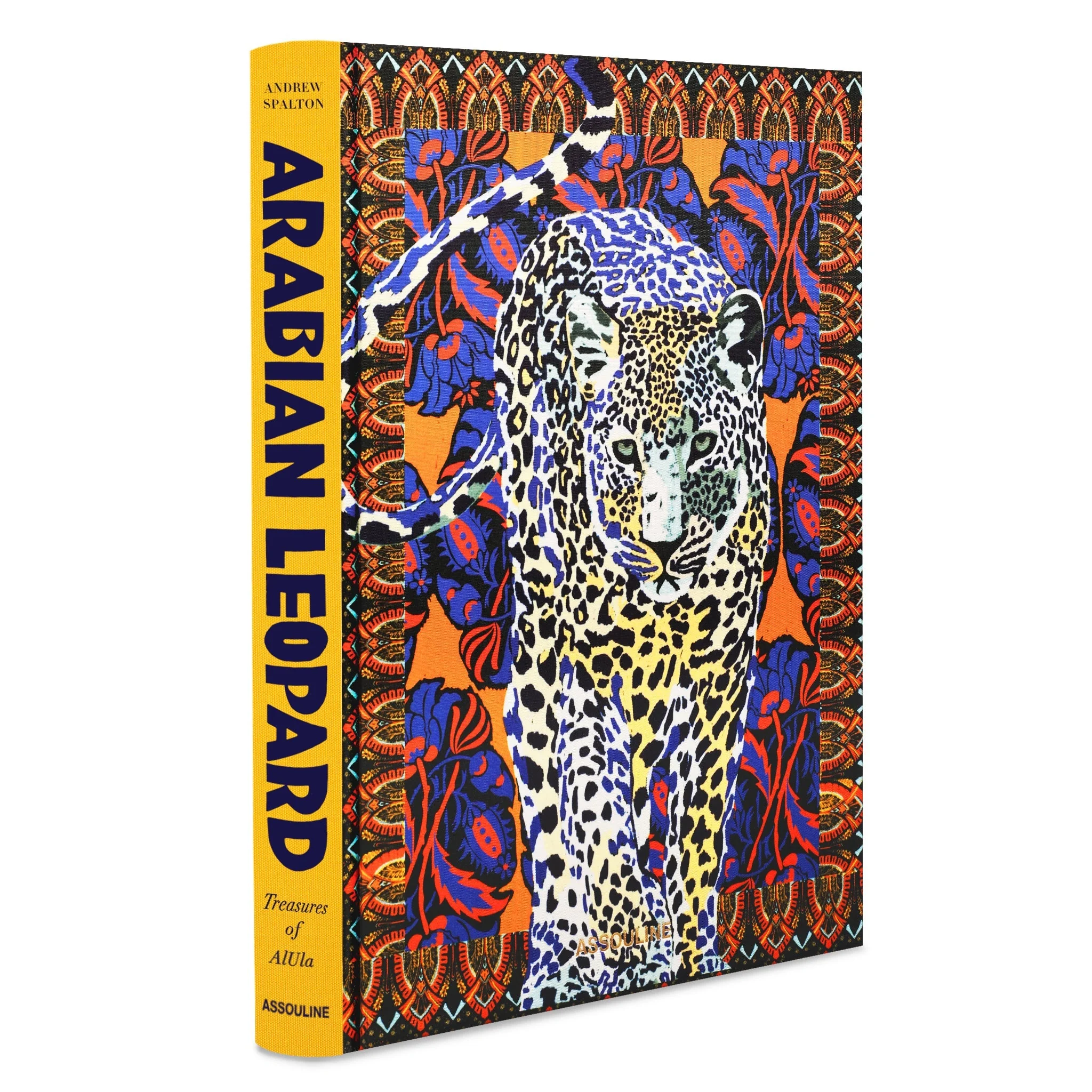 Arabian Leopard - Image 2