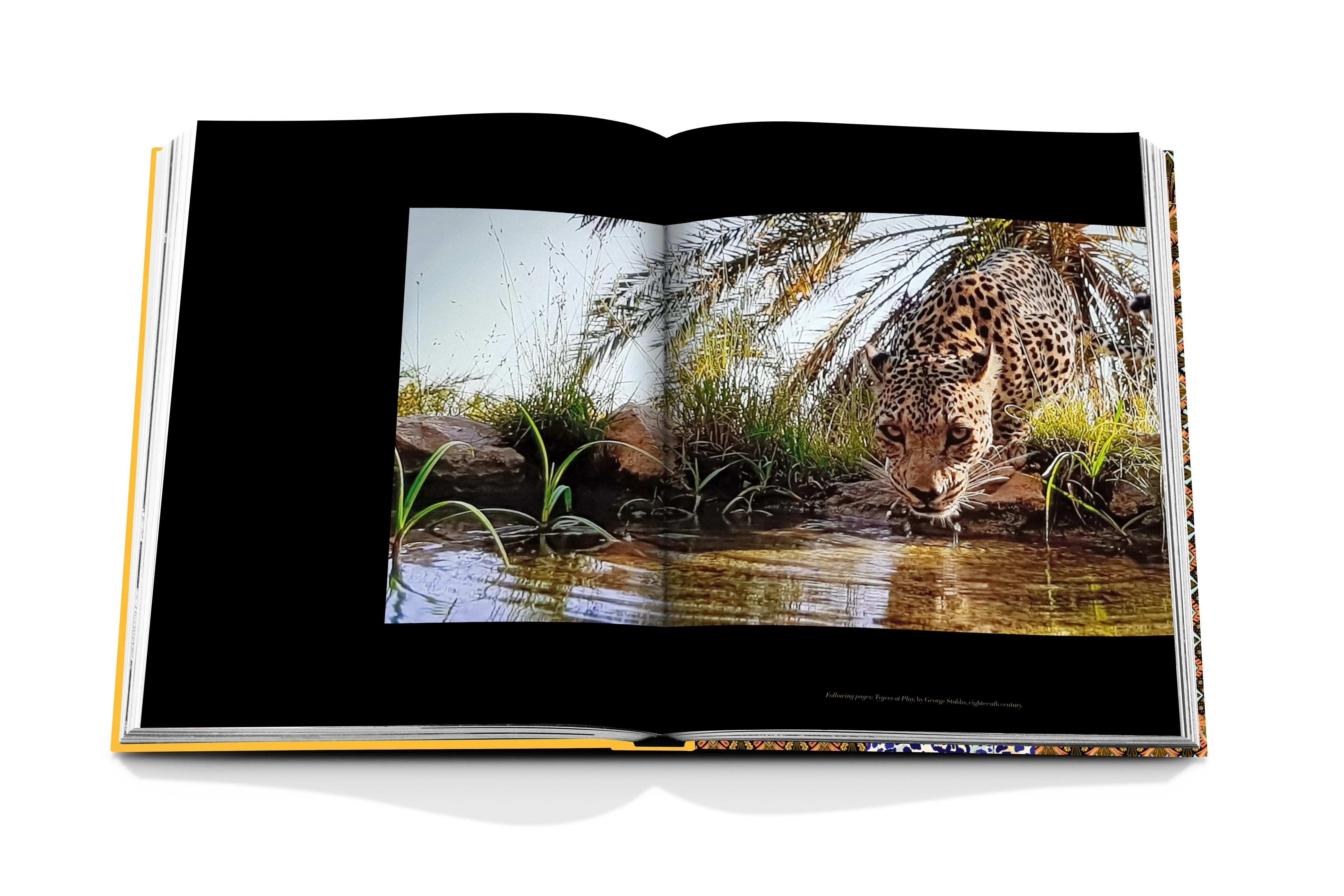 Arabian Leopard - Image 6