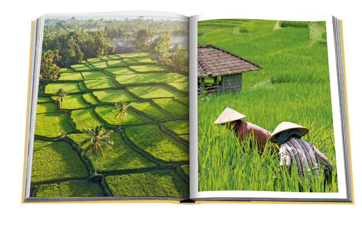 Bali Mystique - Image 4