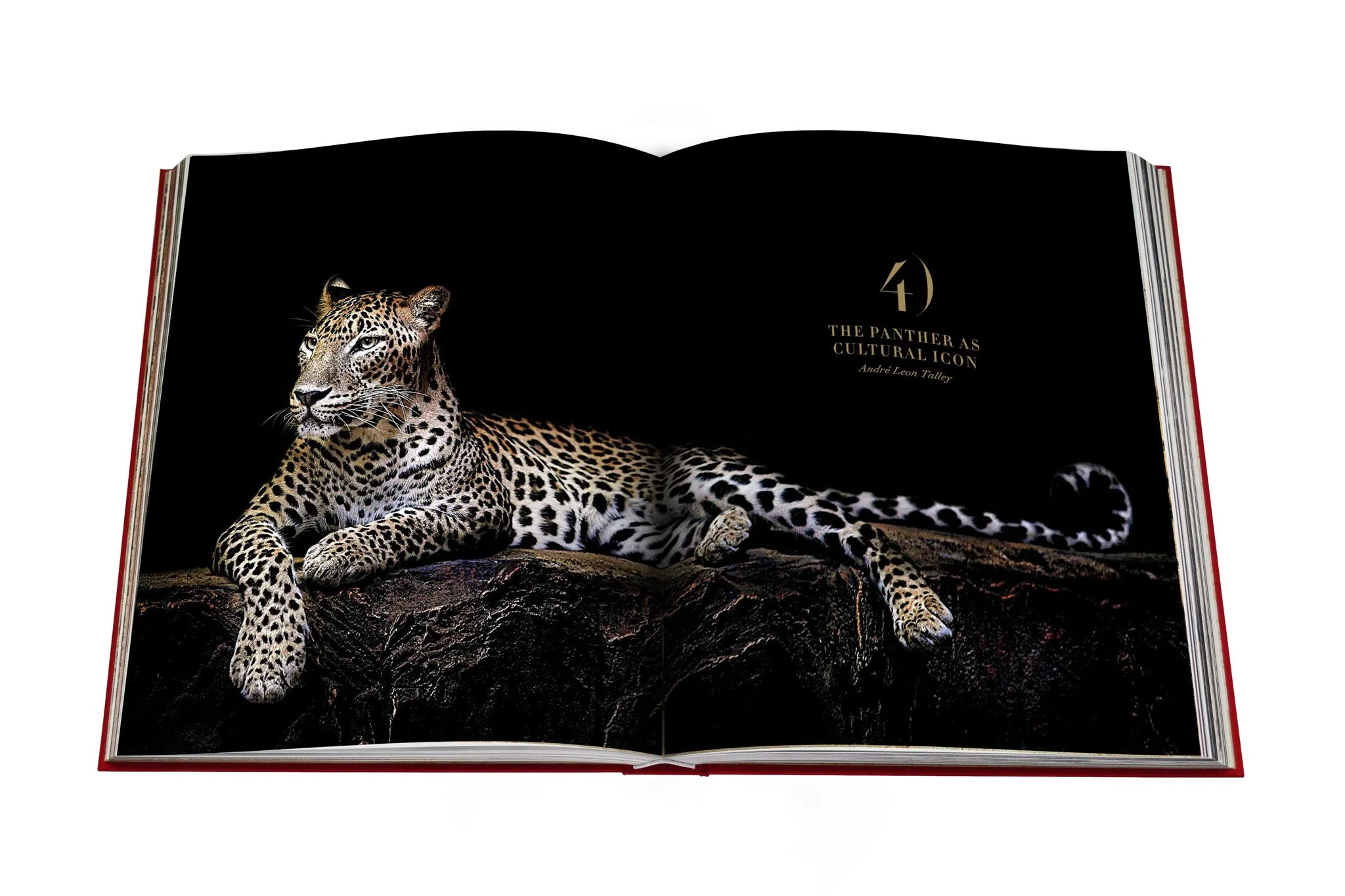 Cartier Panthere - Image 5
