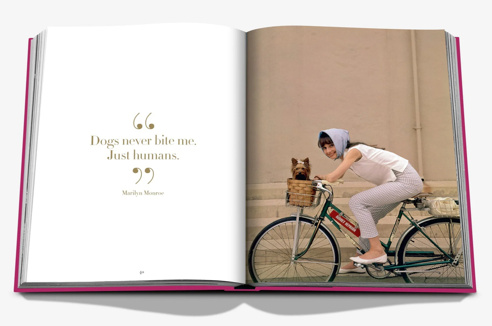 Chic Dogs - Image 3