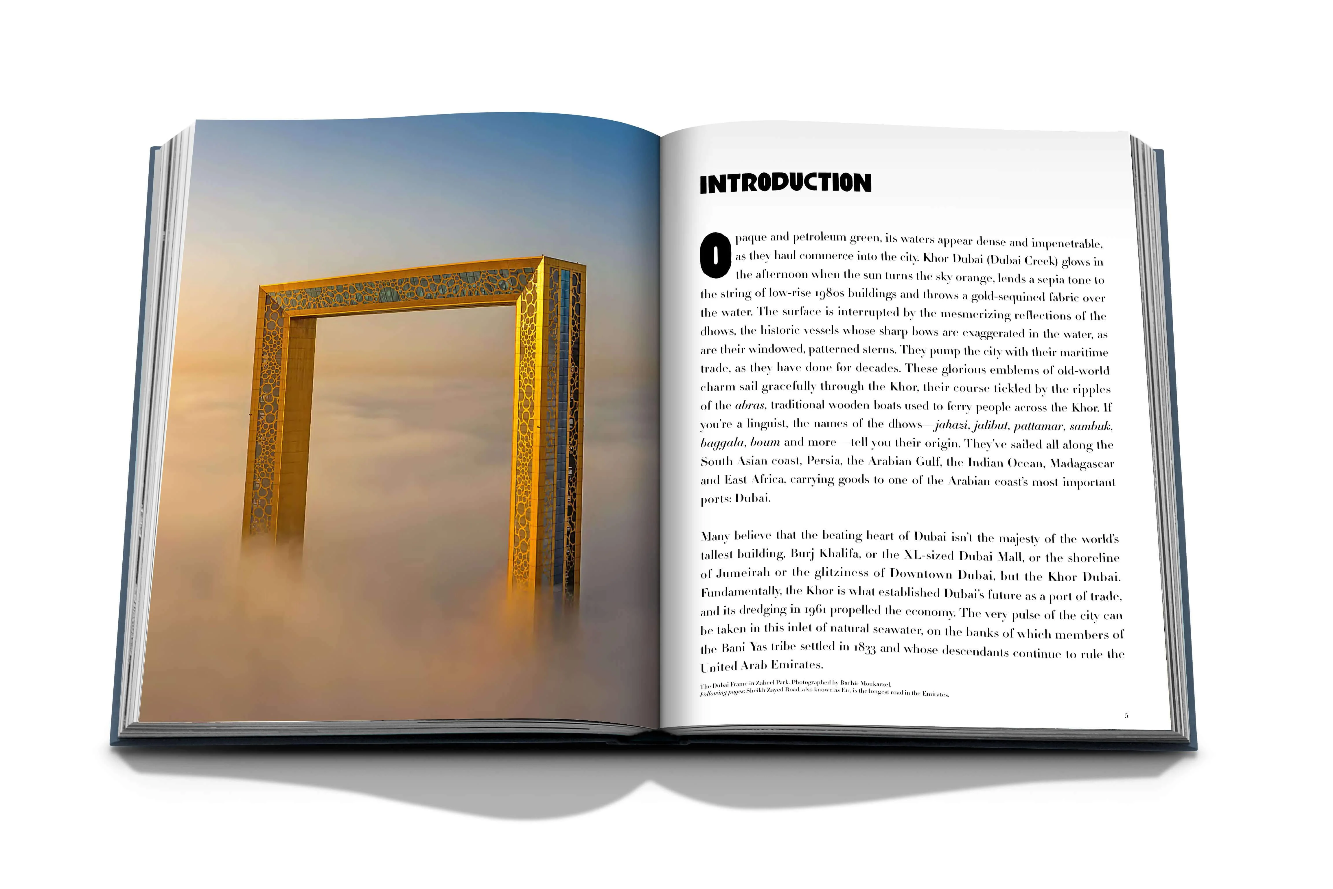 Dubai Wonder - Image 3