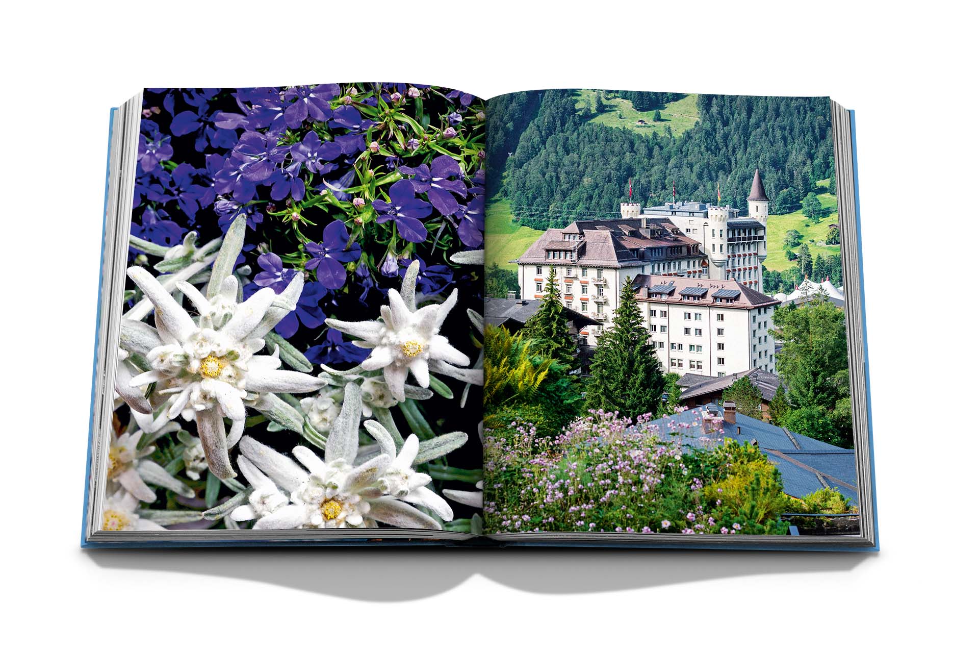Gstaad Glam - Image 6