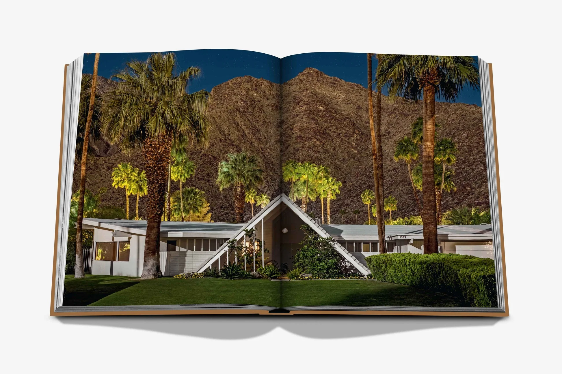 Palm Springs - Image 4