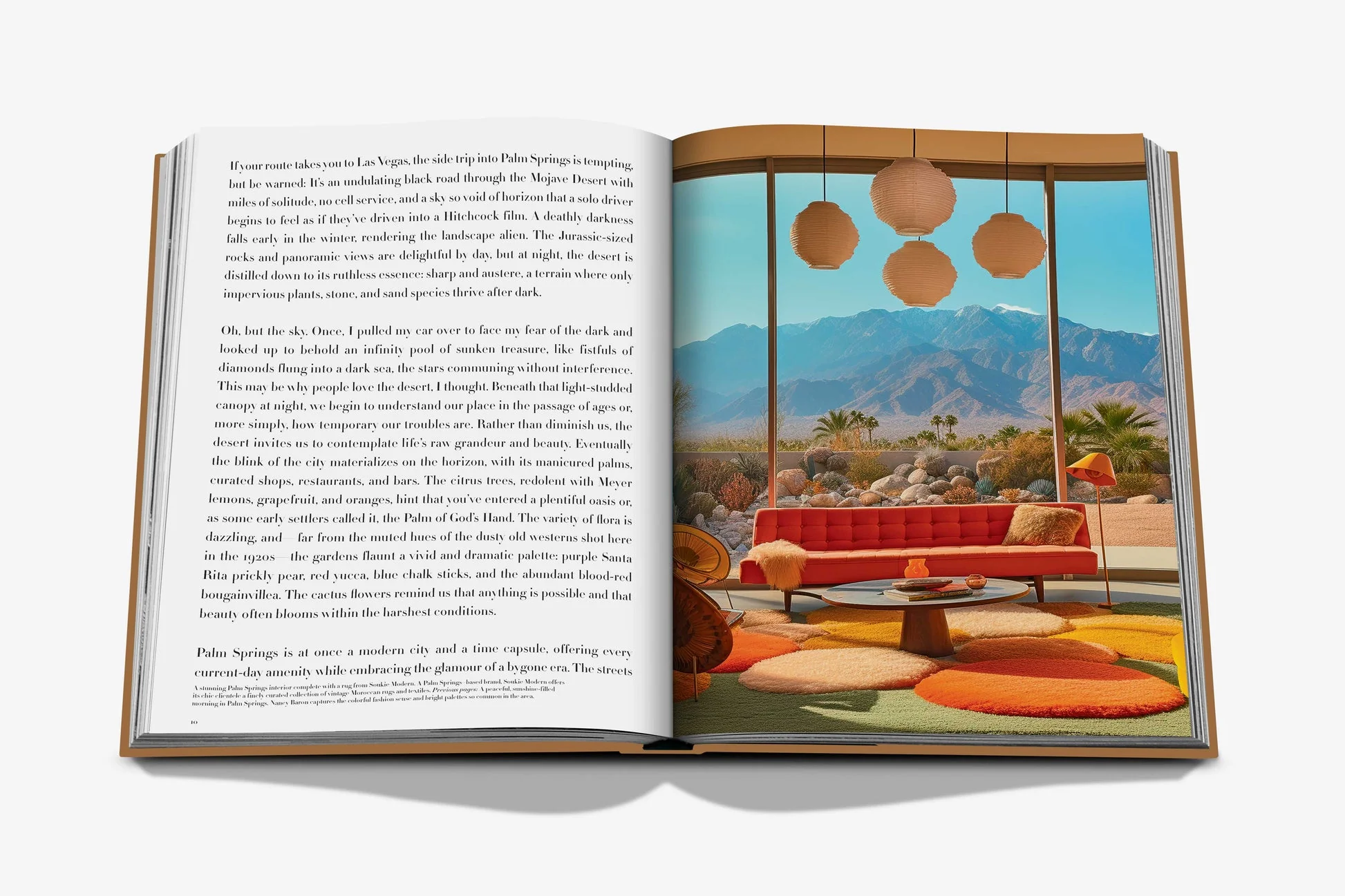 Palm Springs - Image 6