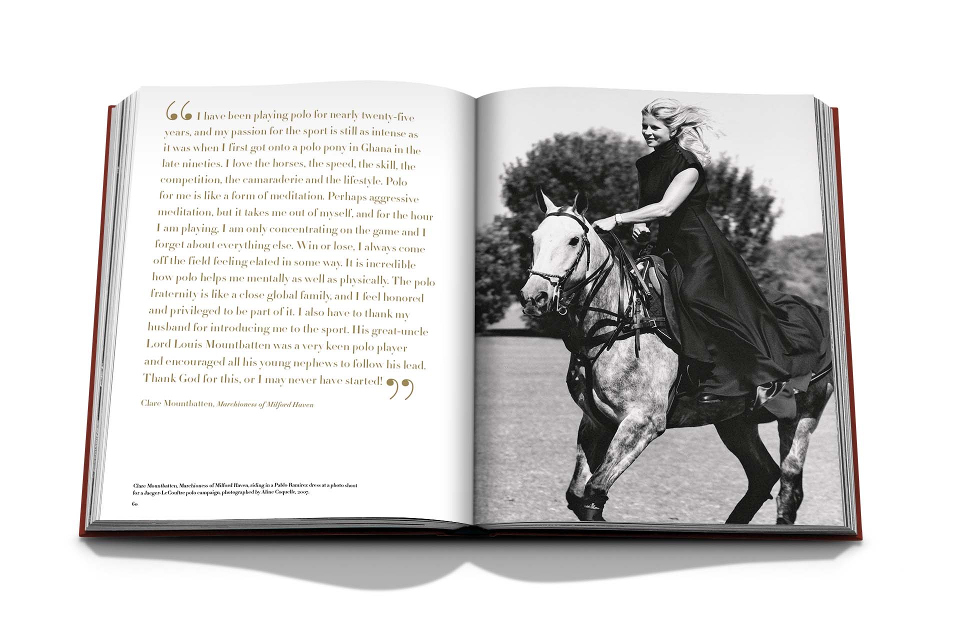 Polo Heritage - Image 4