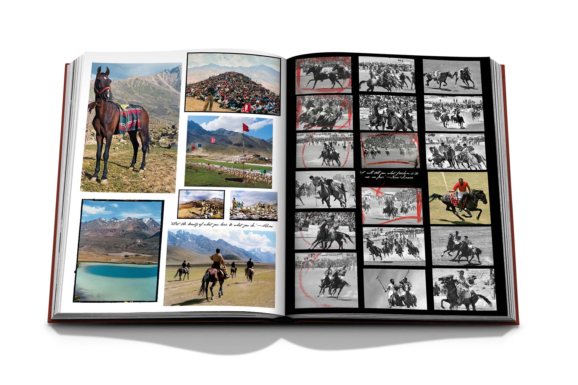 Polo Heritage - Image 6