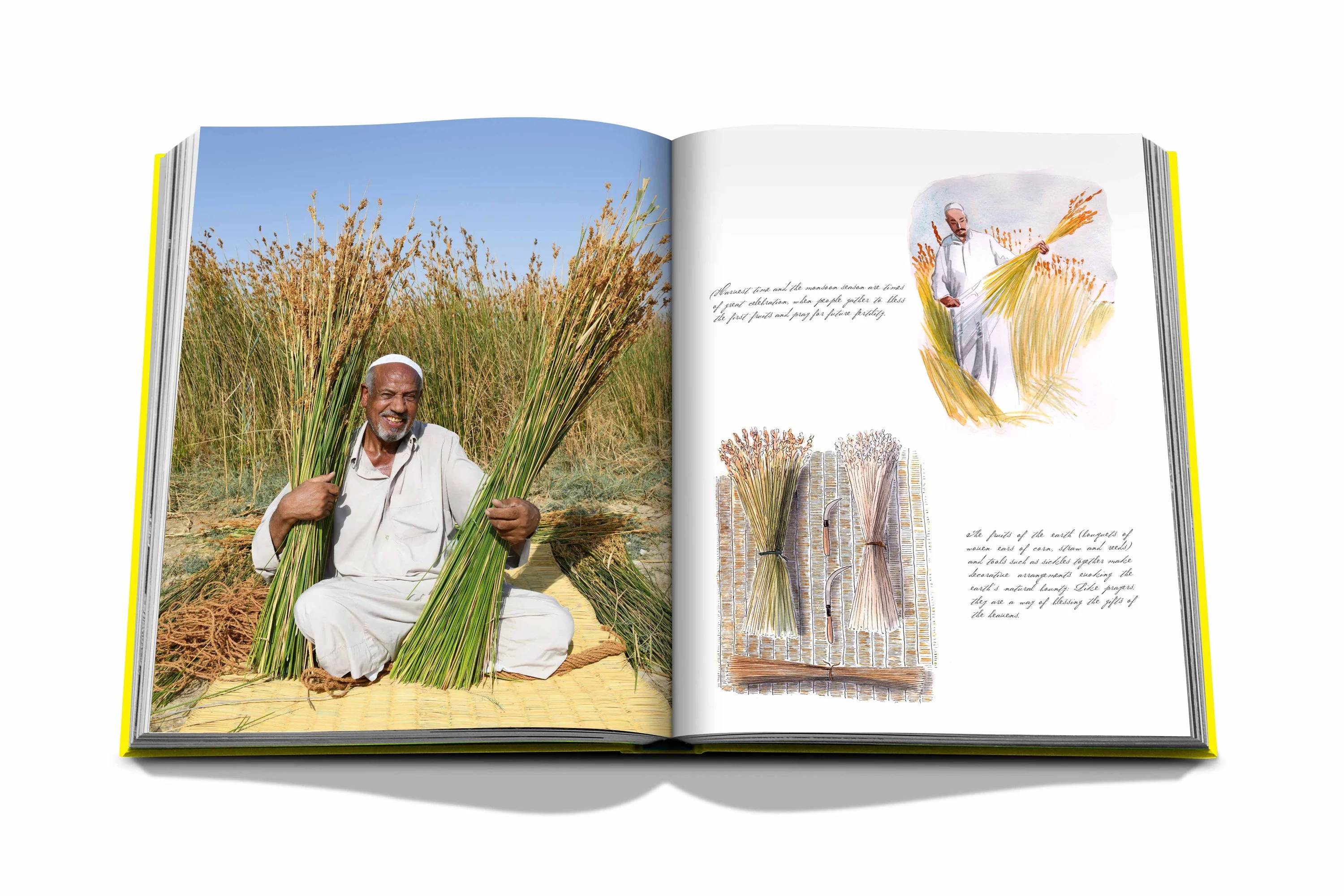 Saudi Arabia: Al-Ahsa Oasis - Image 3