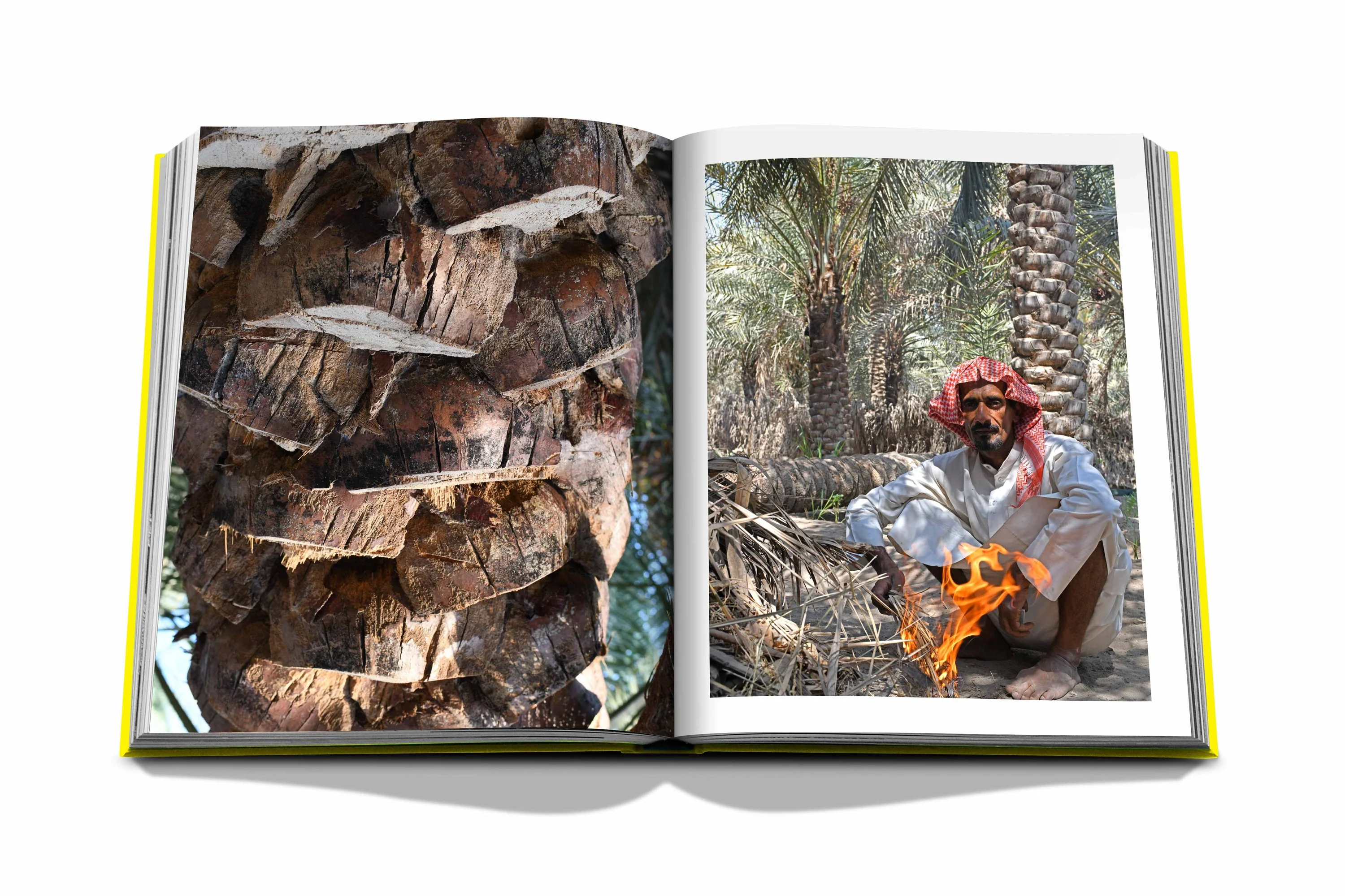 Saudi Arabia: Al-Ahsa Oasis - Image 4