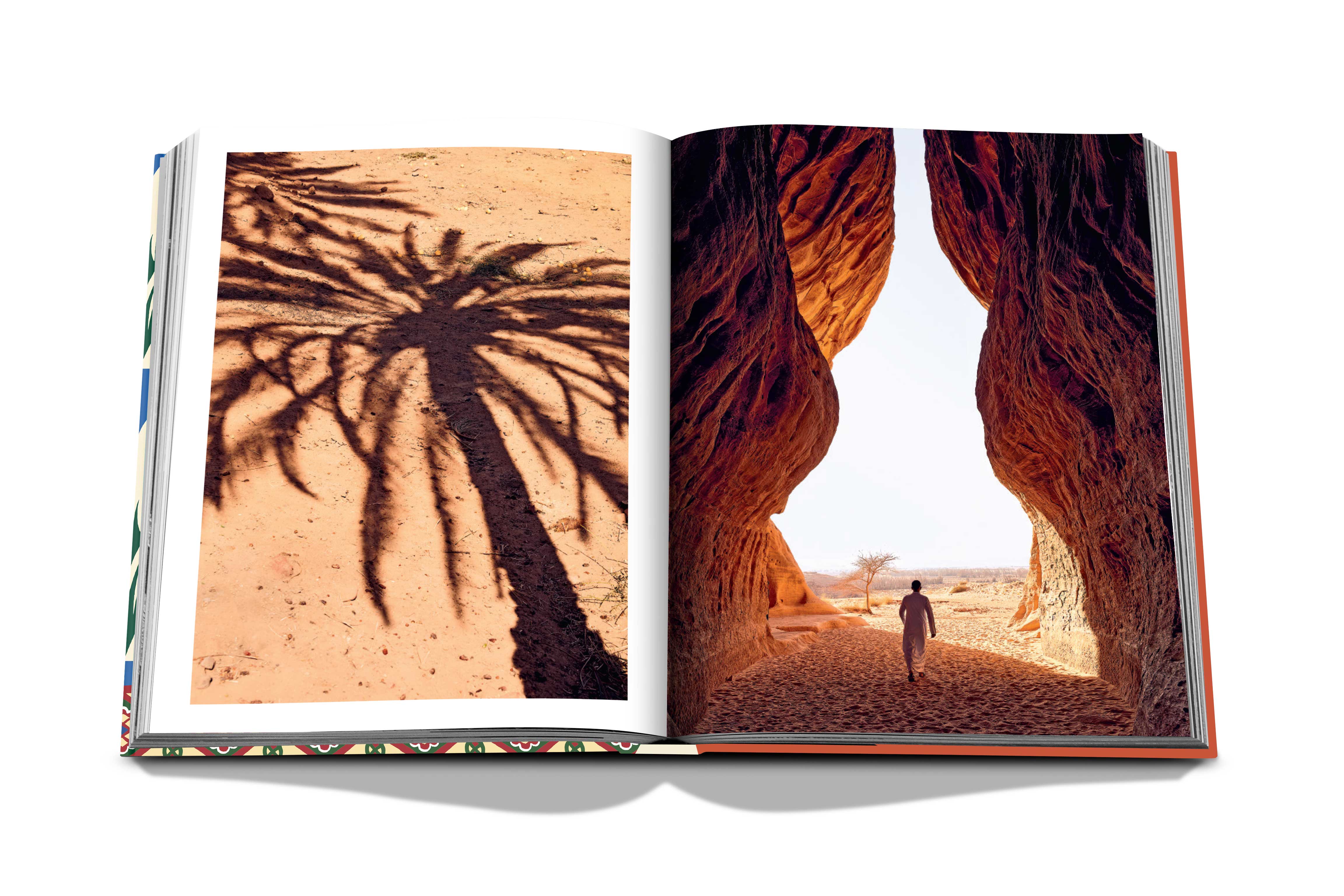 Saudi Dates: A Portrait of the Sacred Fruit - Image 6