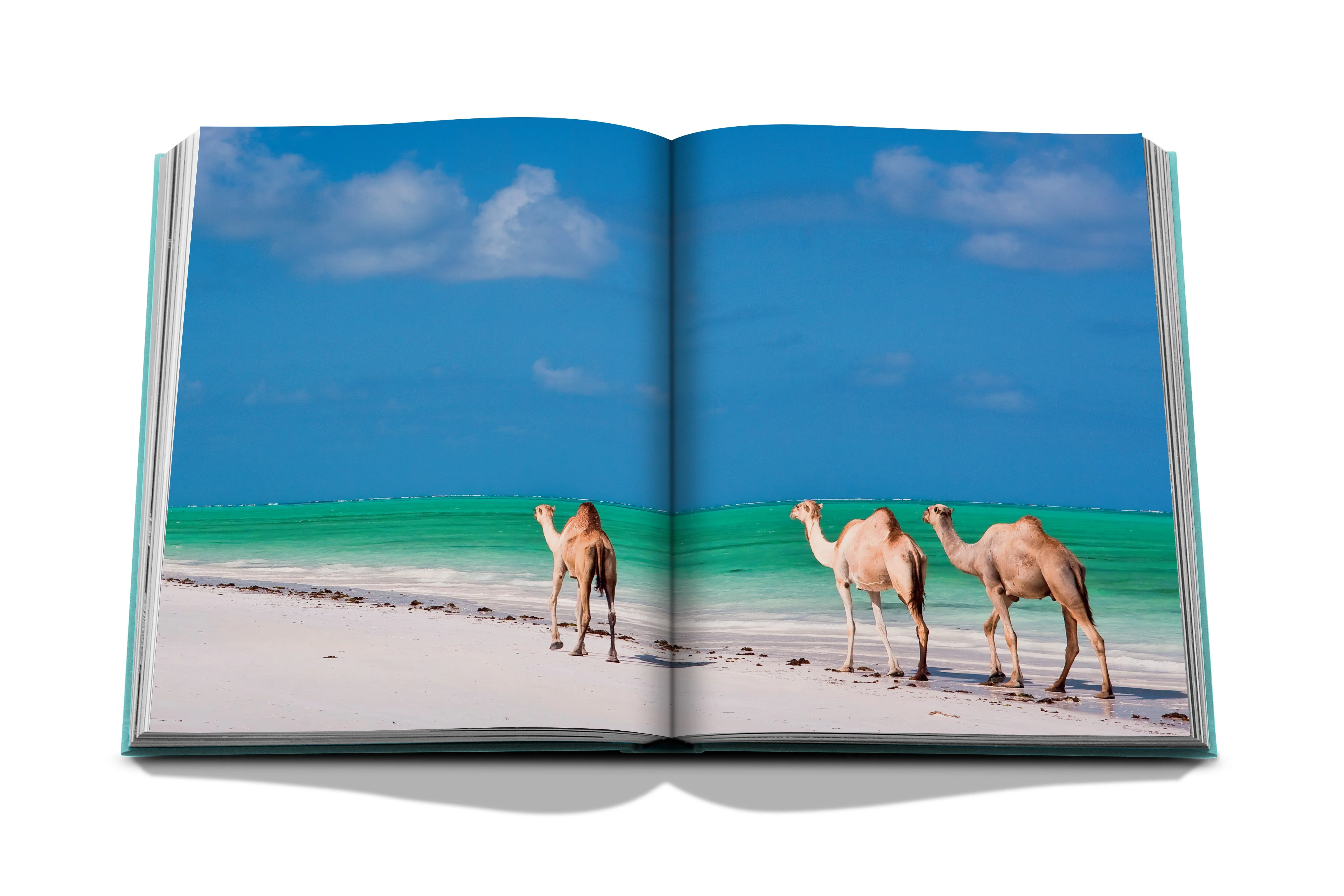 Red Sea: The Saudi Coast - Image 3