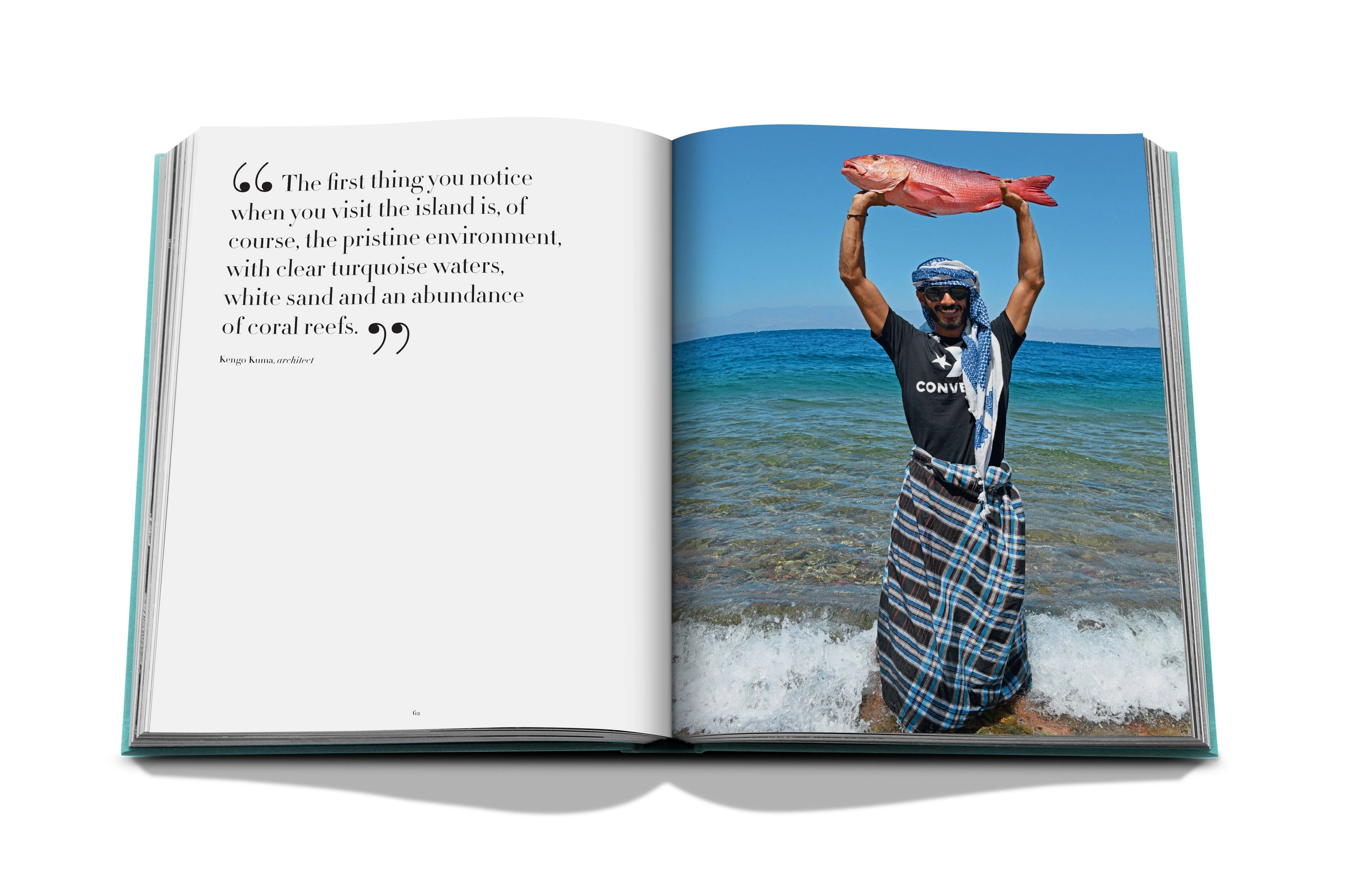 Red Sea: The Saudi Coast - Image 4