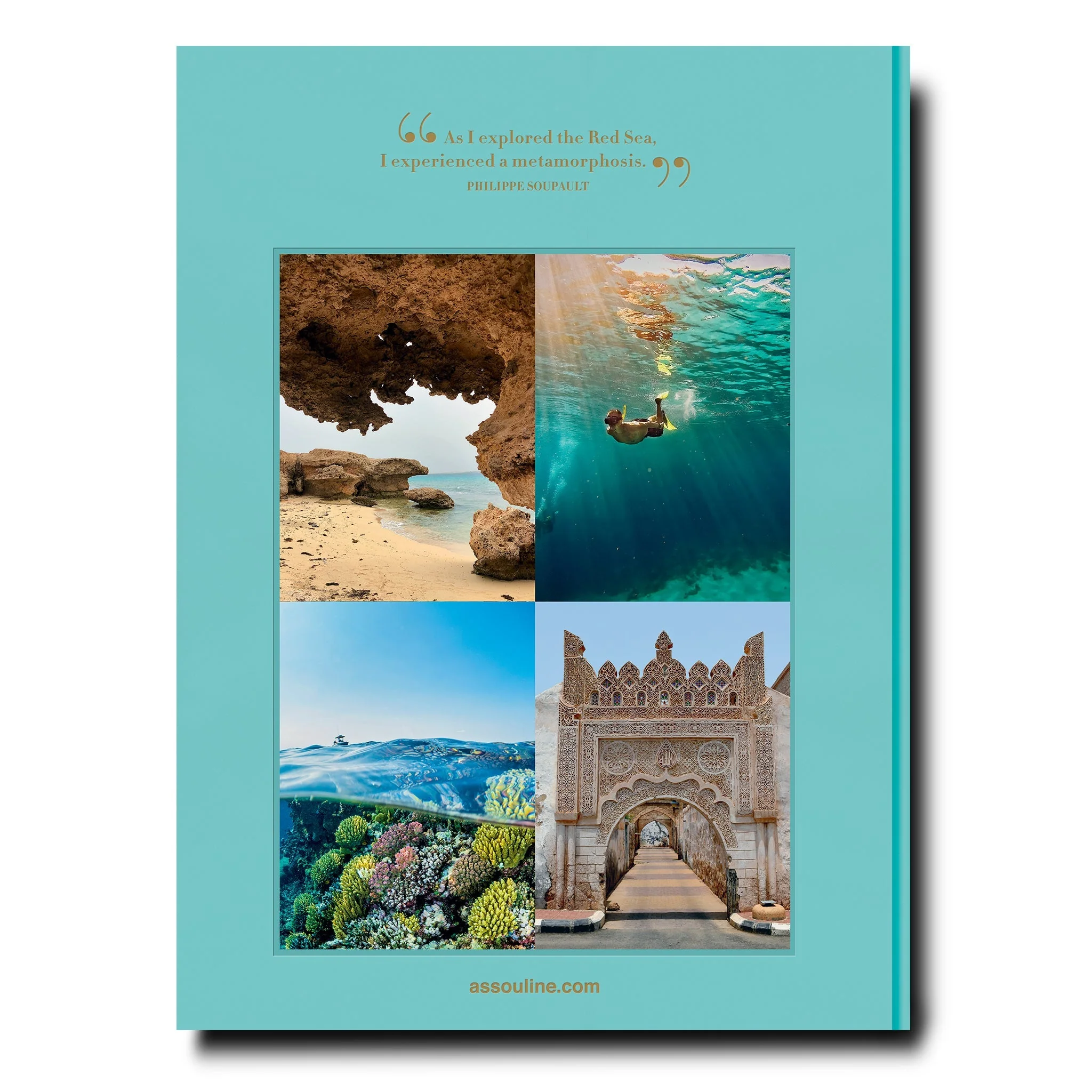 Red Sea: The Saudi Coast - Image 8