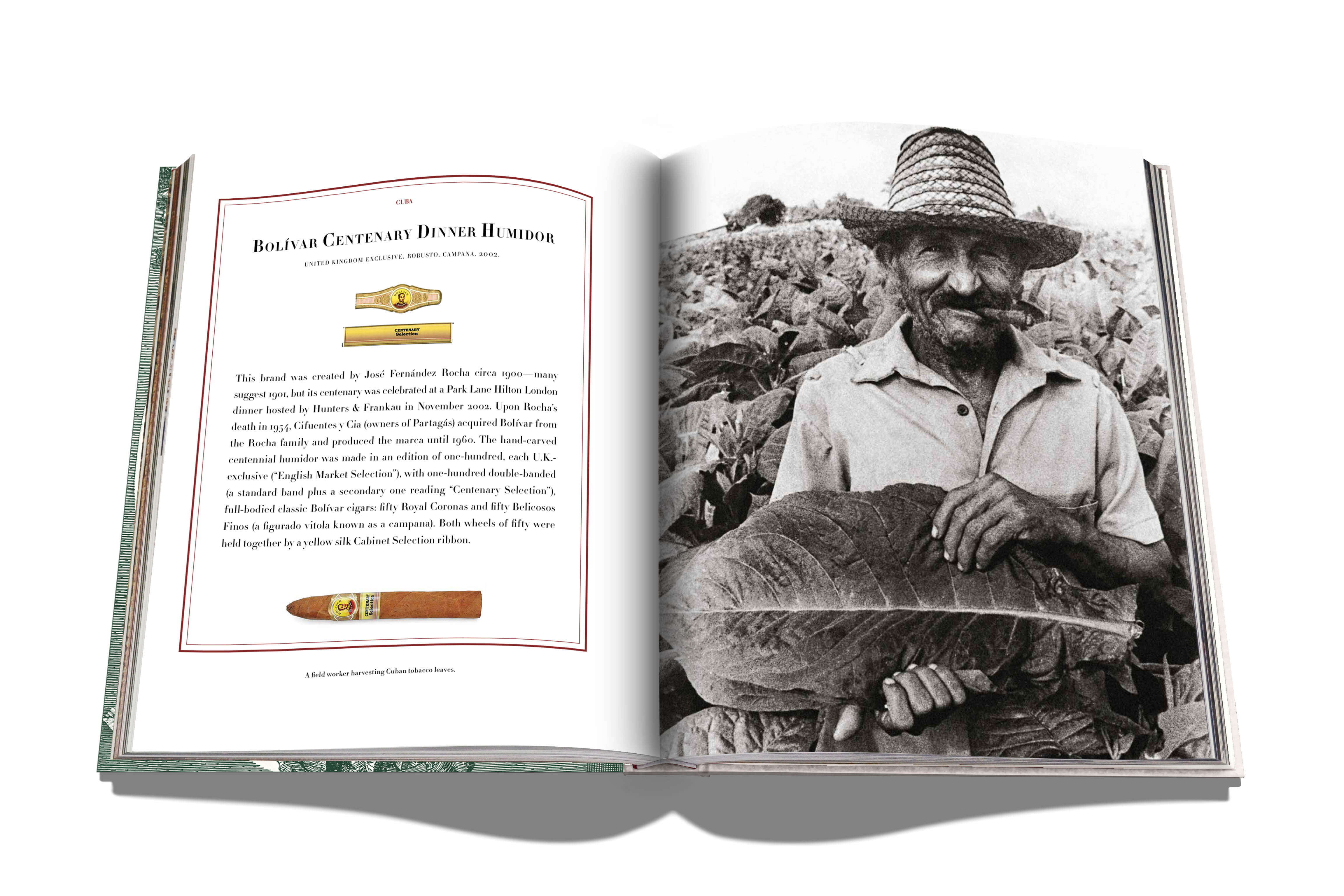 The Impossible Collection of Cigars - Image 4