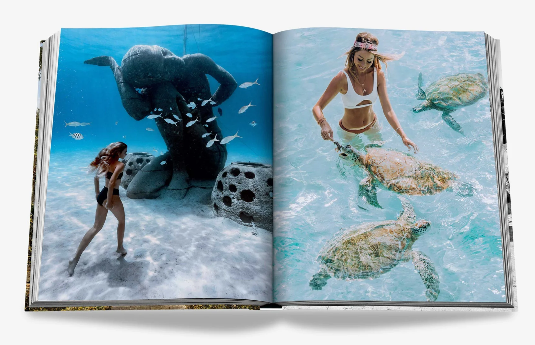 The Ocean Club - Image 4
