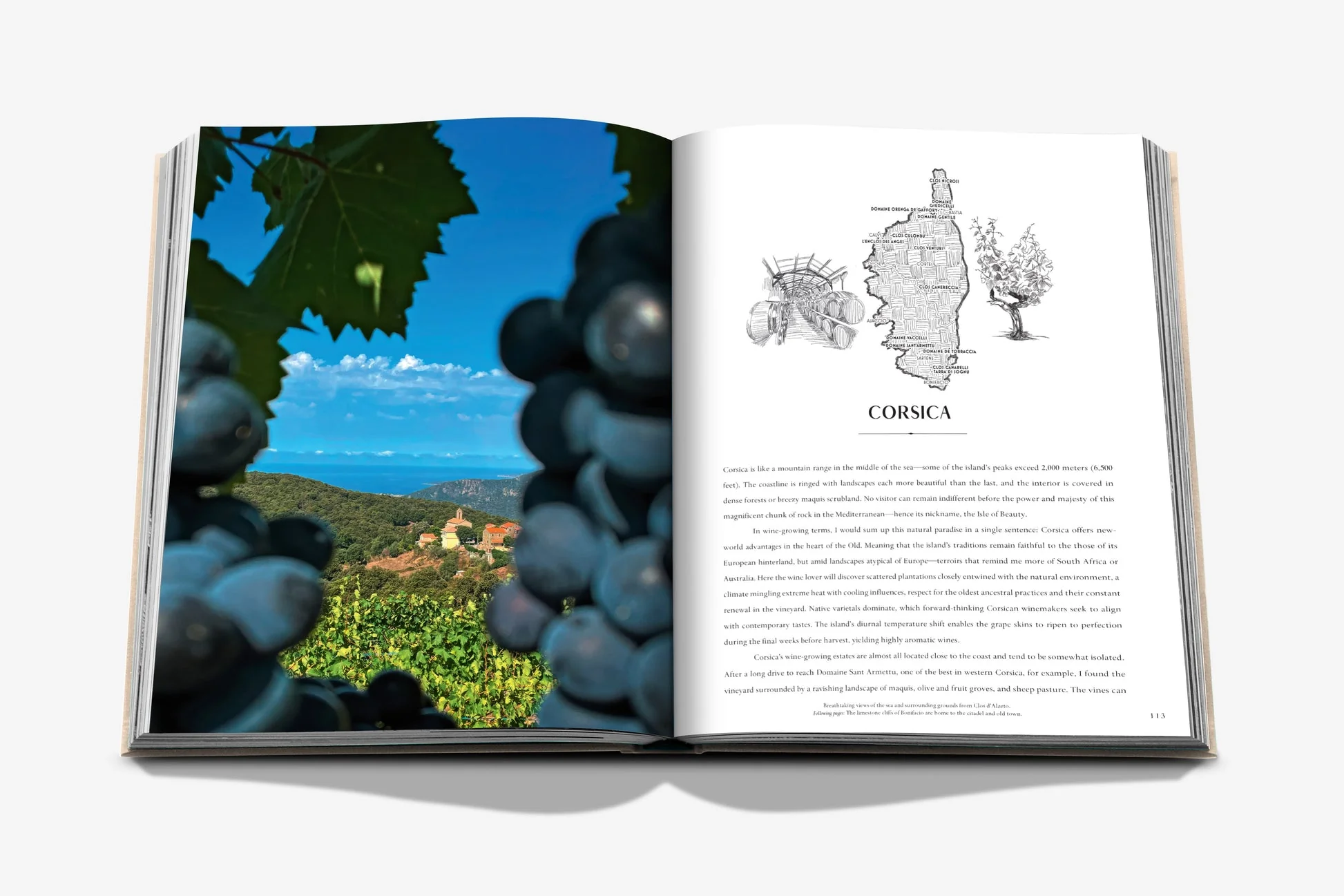 Wine & Travel France - Image 5