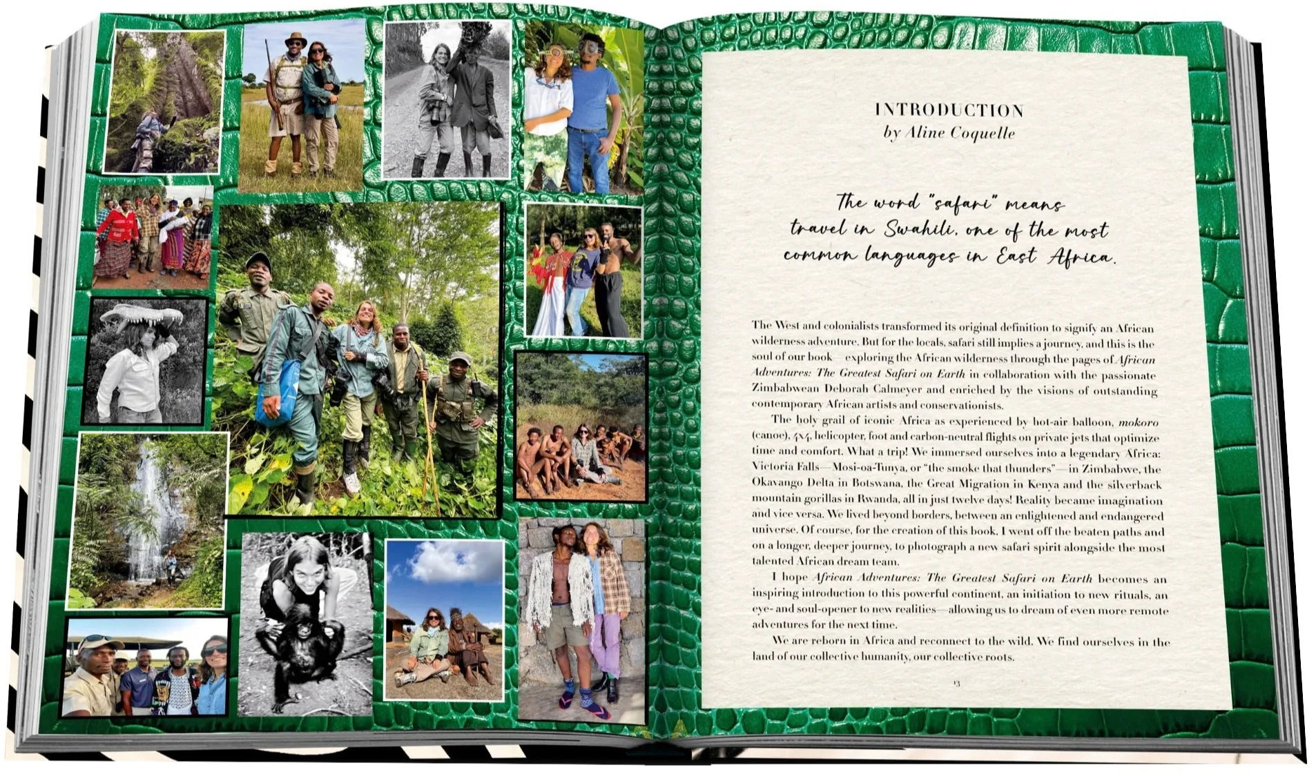 African Adventures: The Greatest Safari on Earth - Image 3