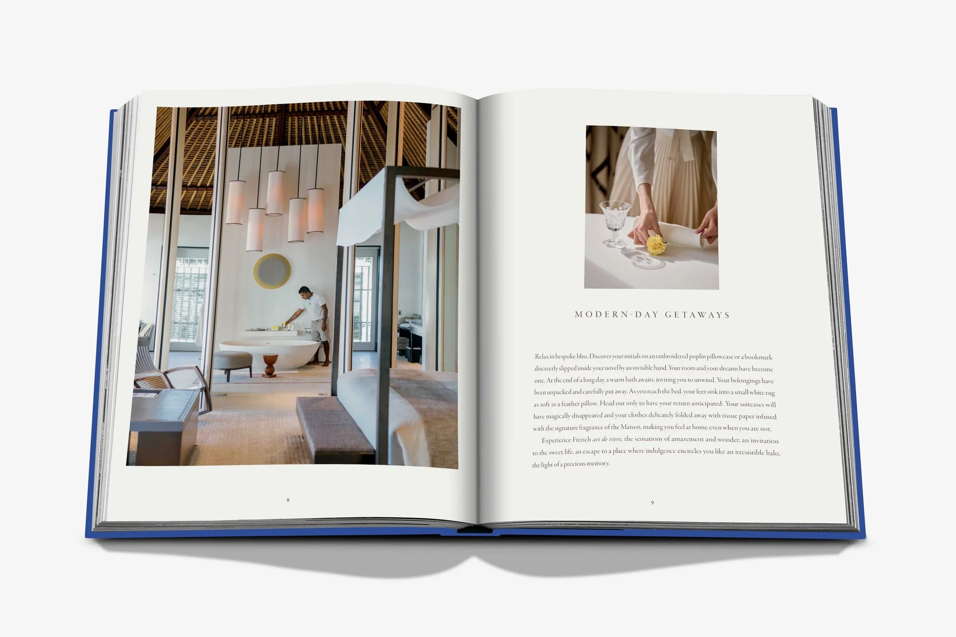 Cheval Blanc - Image 6