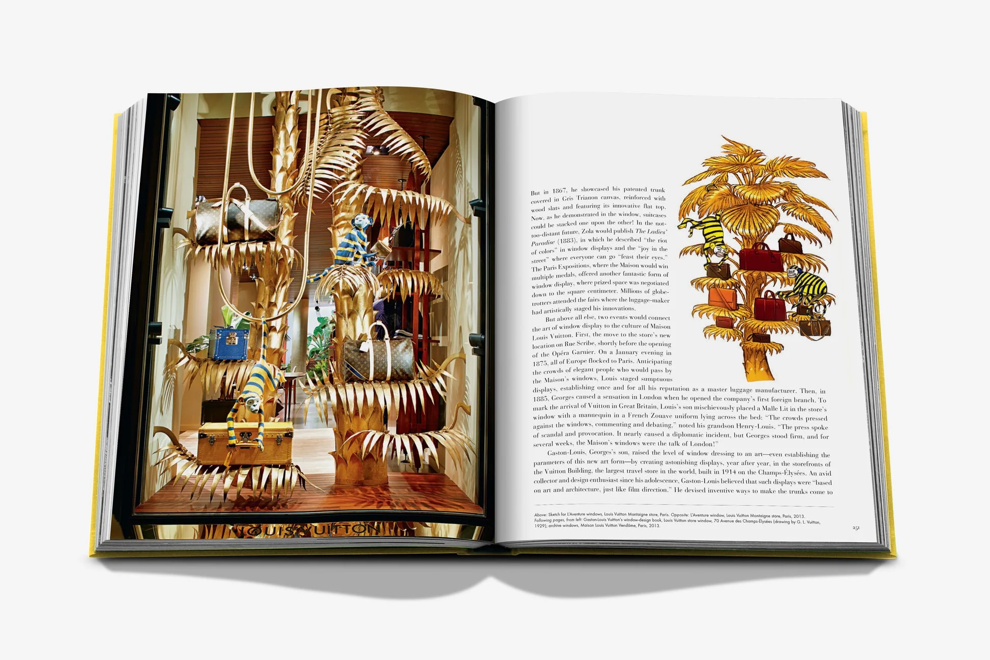 From Louis to Vuitton - Image 4
