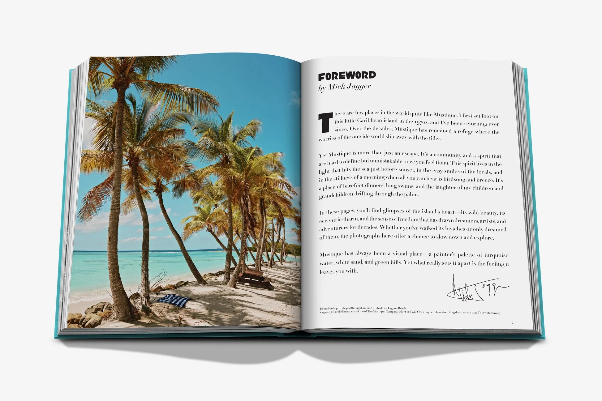 Mustique Icon - Image 3