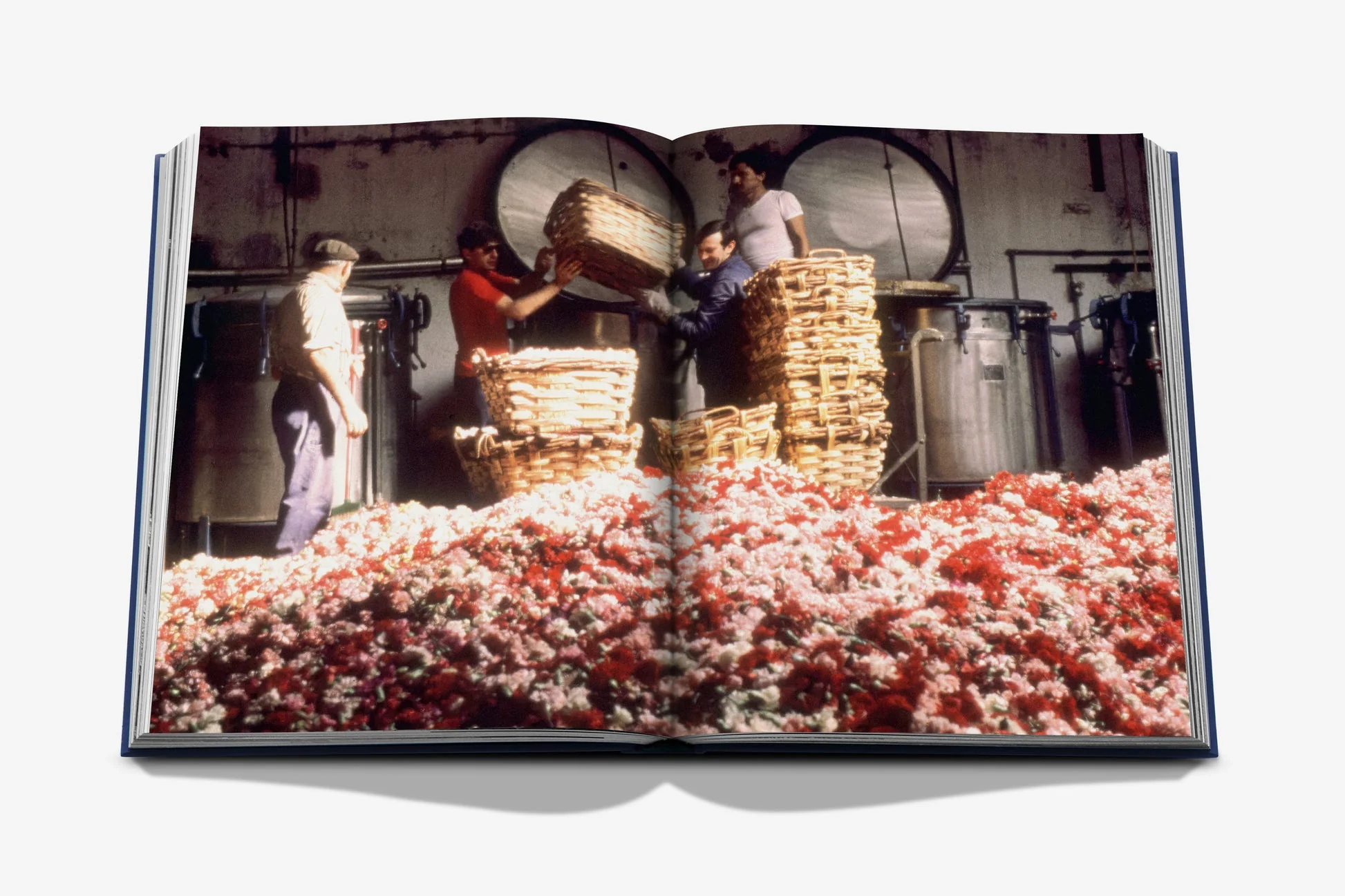 Robertet: From Seed to Scent - Image 4