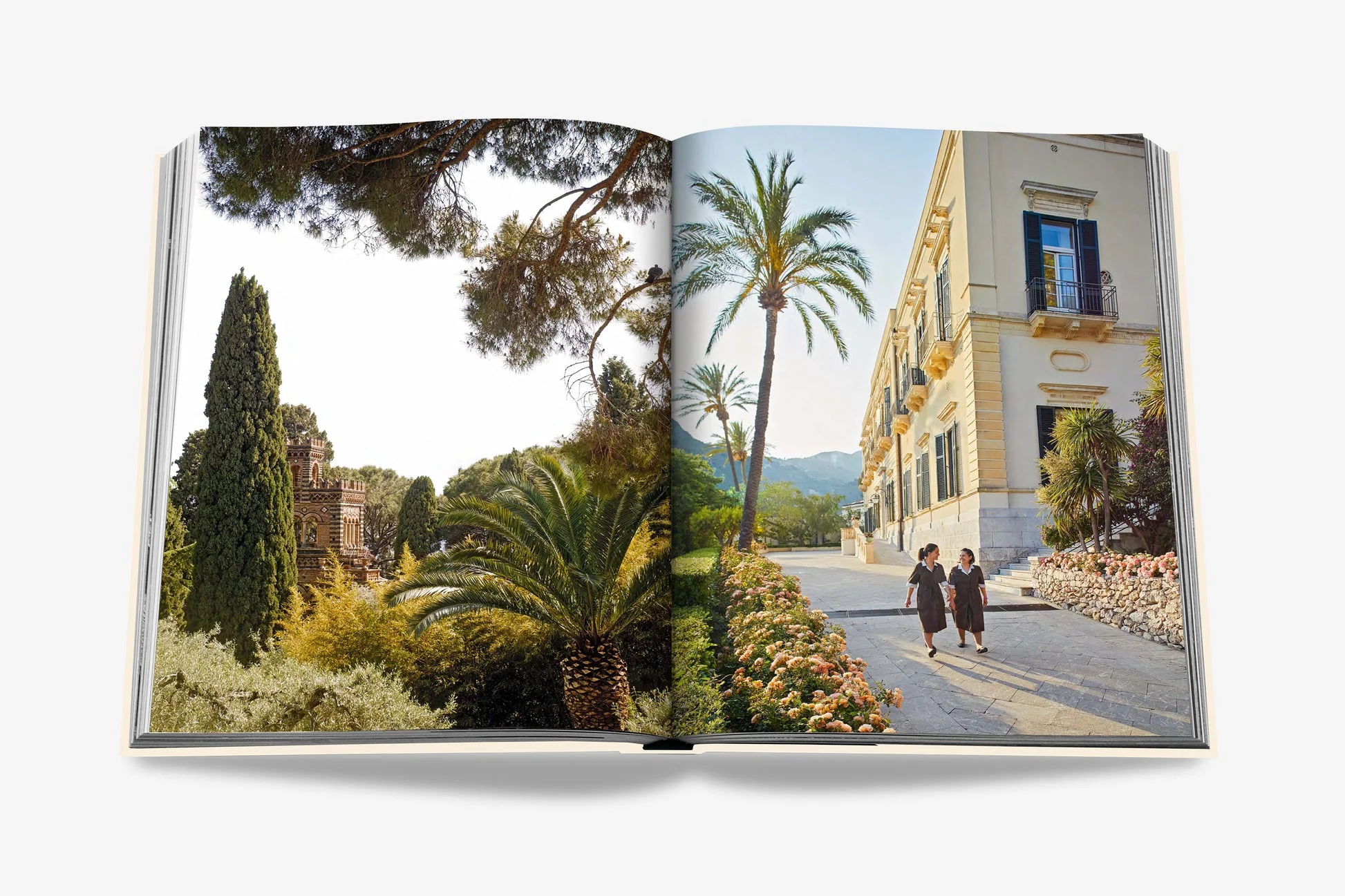 Sicily Honor - Image 3