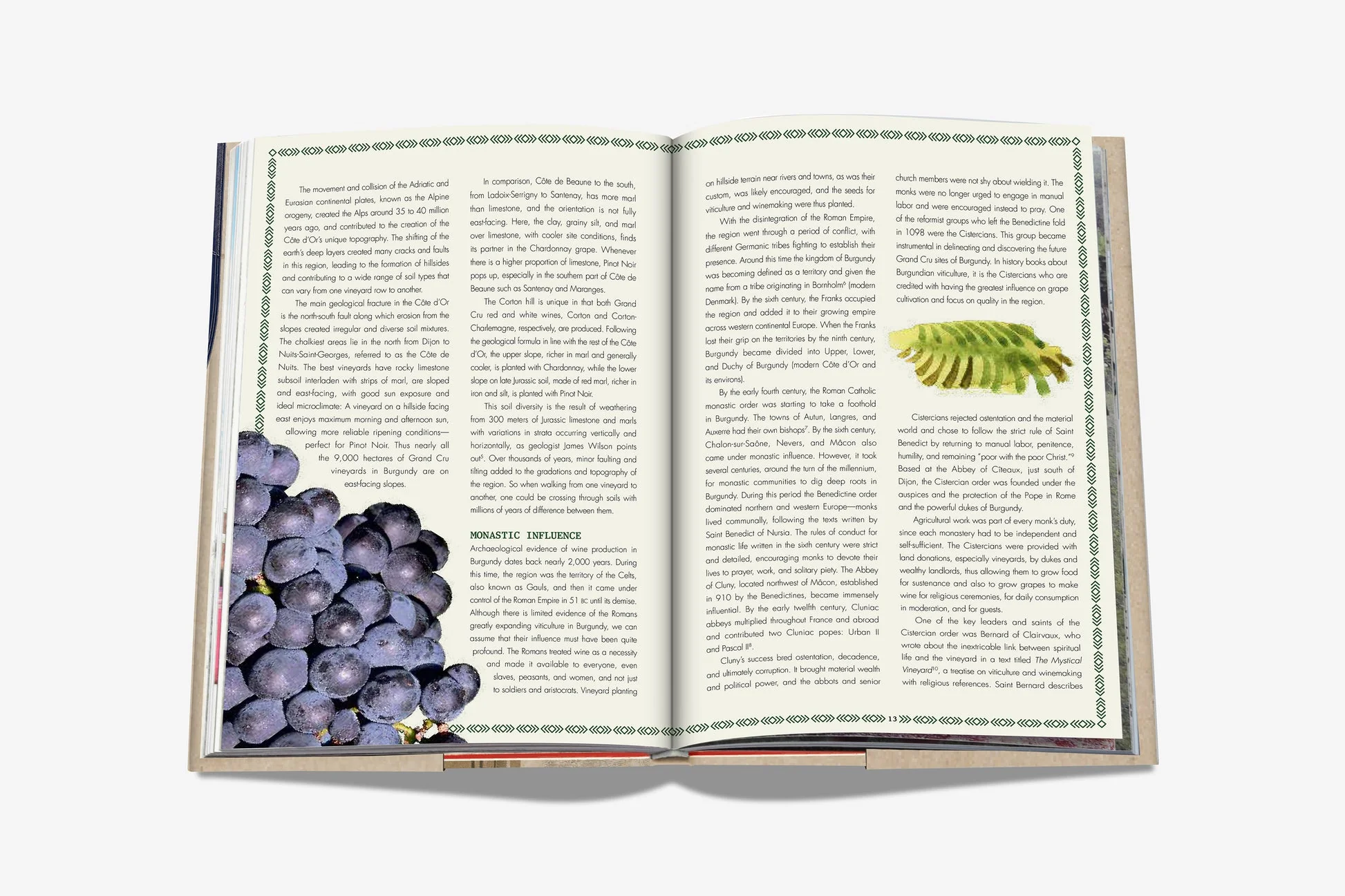 The 100 Burgundy: Exceptional Wines To Build A Dream Cellar - Image 5