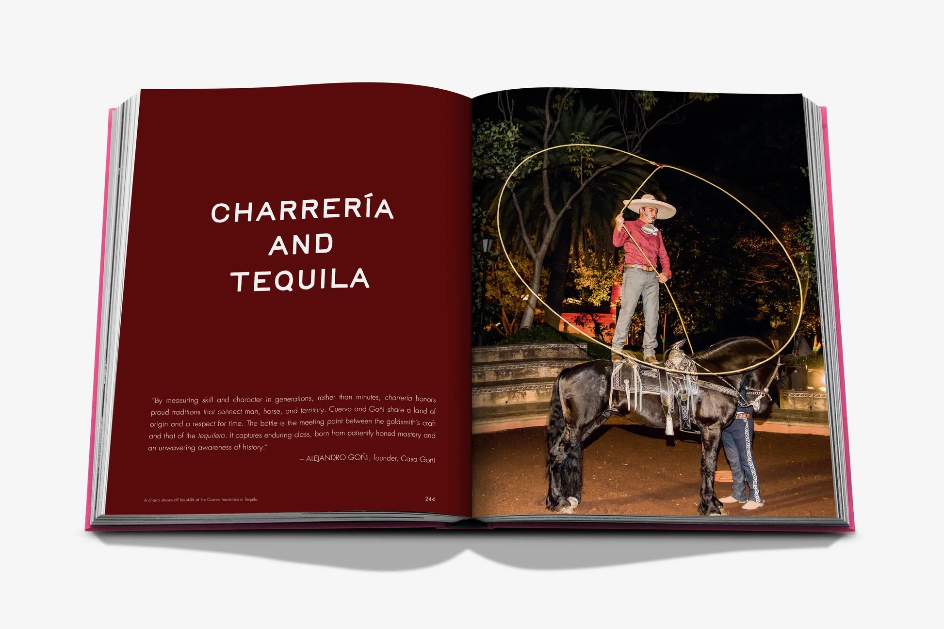 The Art of Tequila: Spirit of Mexico - Image 3
