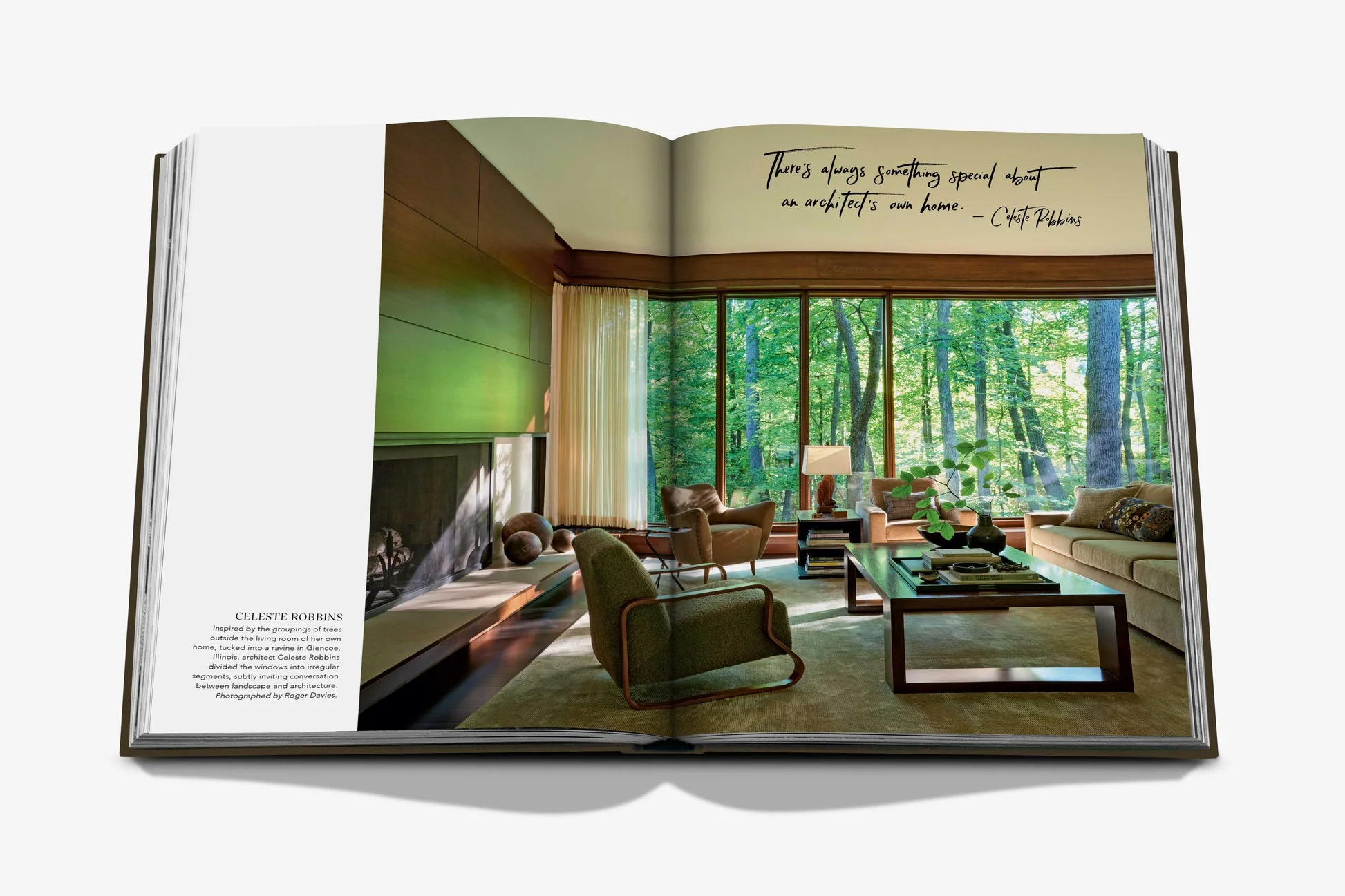 The Living Room - Image 4