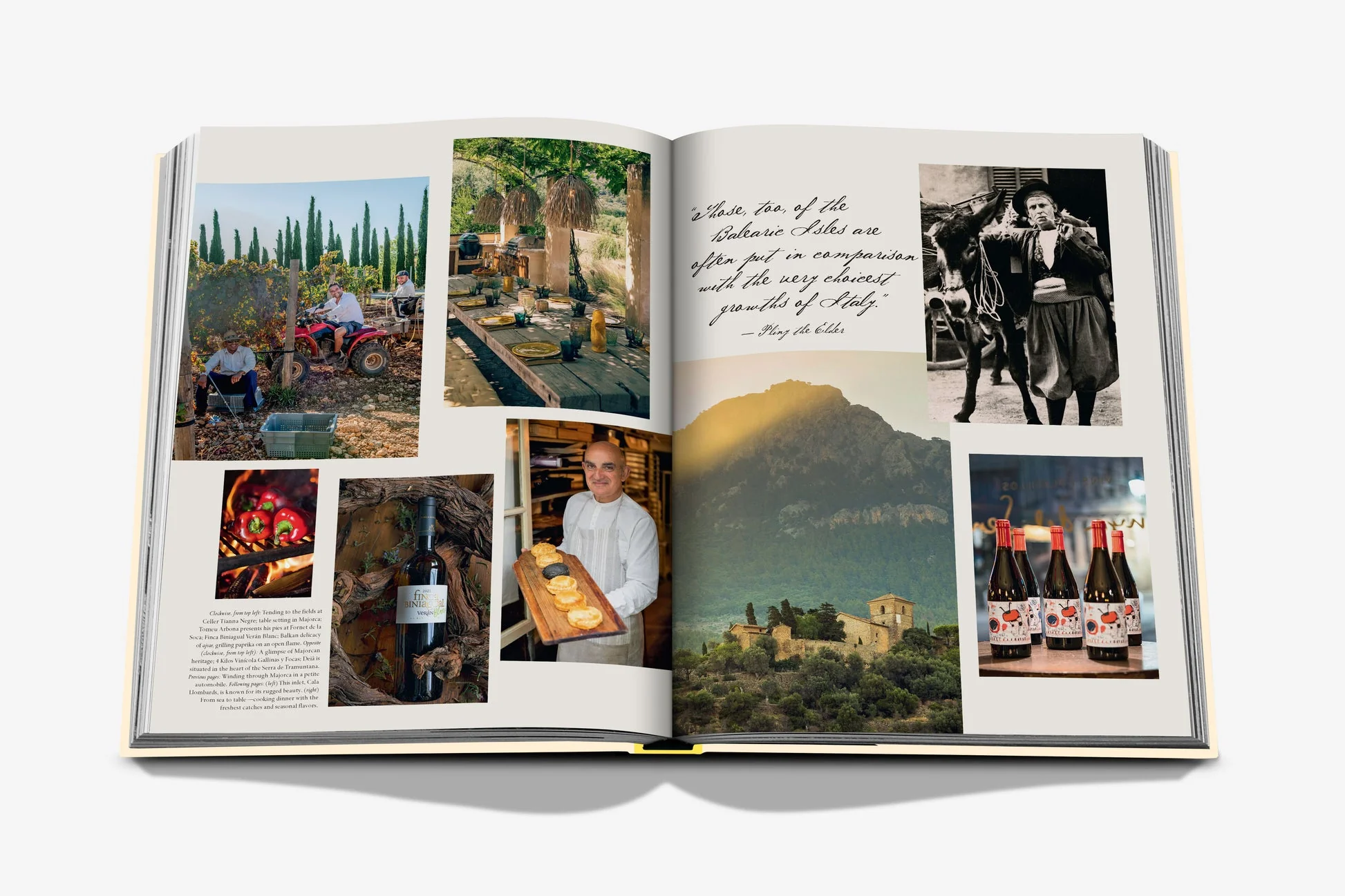 Wine & Travel Mediterranean Islands - Image 5