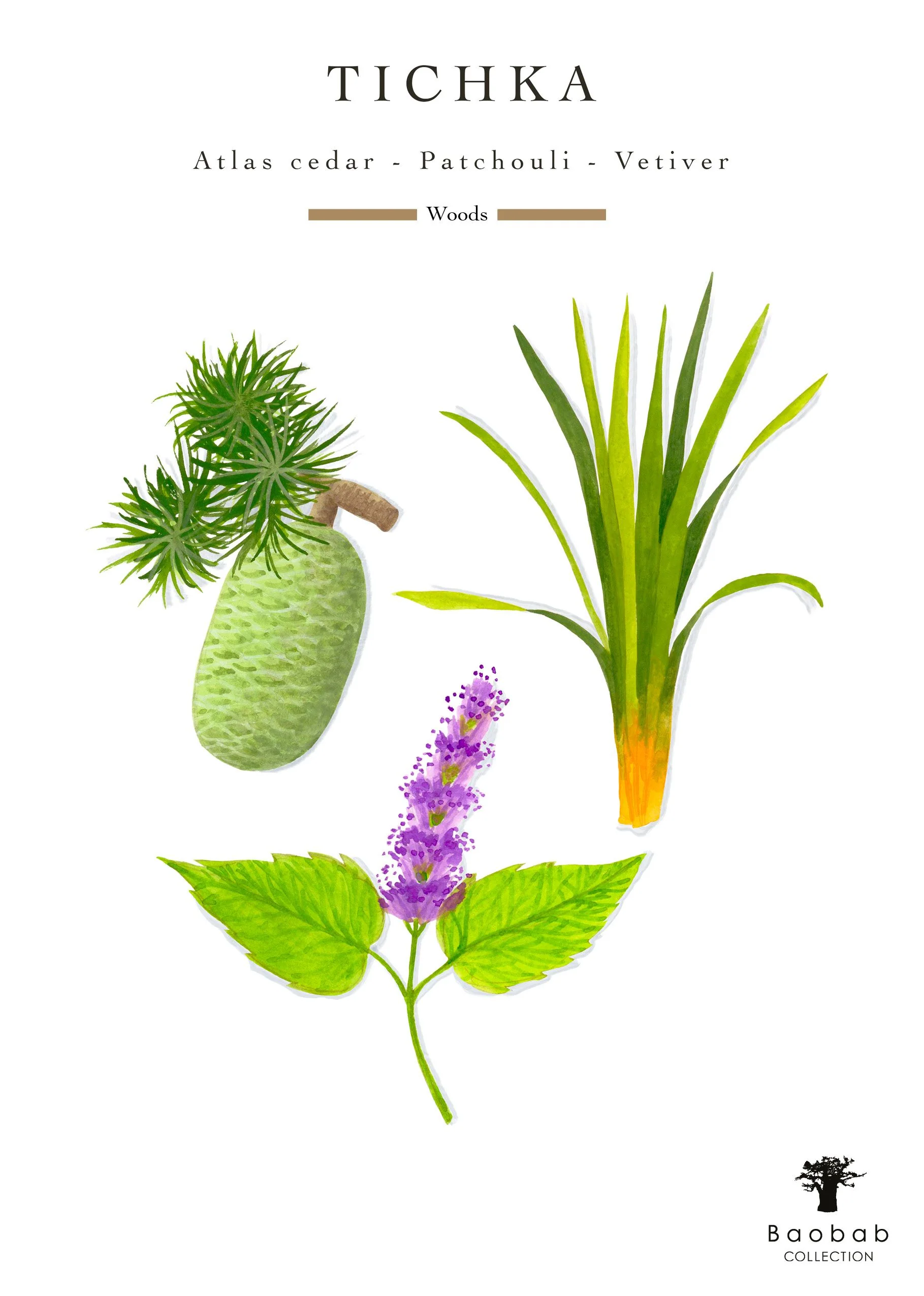 Baobab Collection Atlas Tichka Candle - Image 6