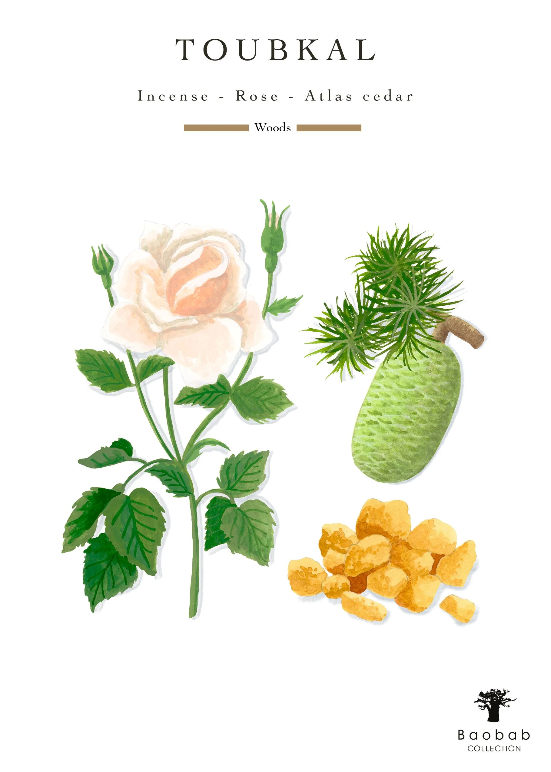 Baobab Collection Atlas Toubkal Candle - Image 6