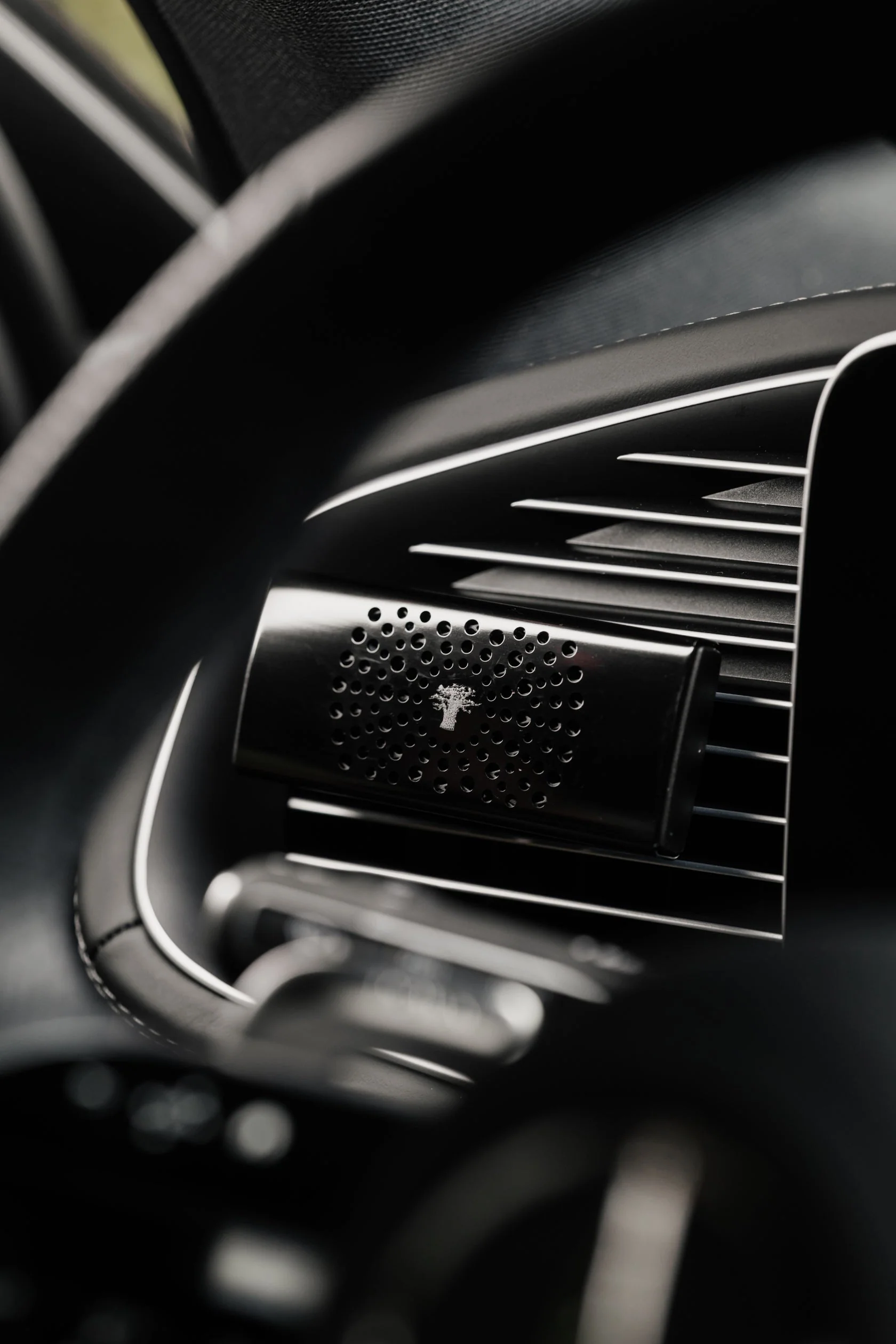 Baobab Collection Car Diffuser - Image 5