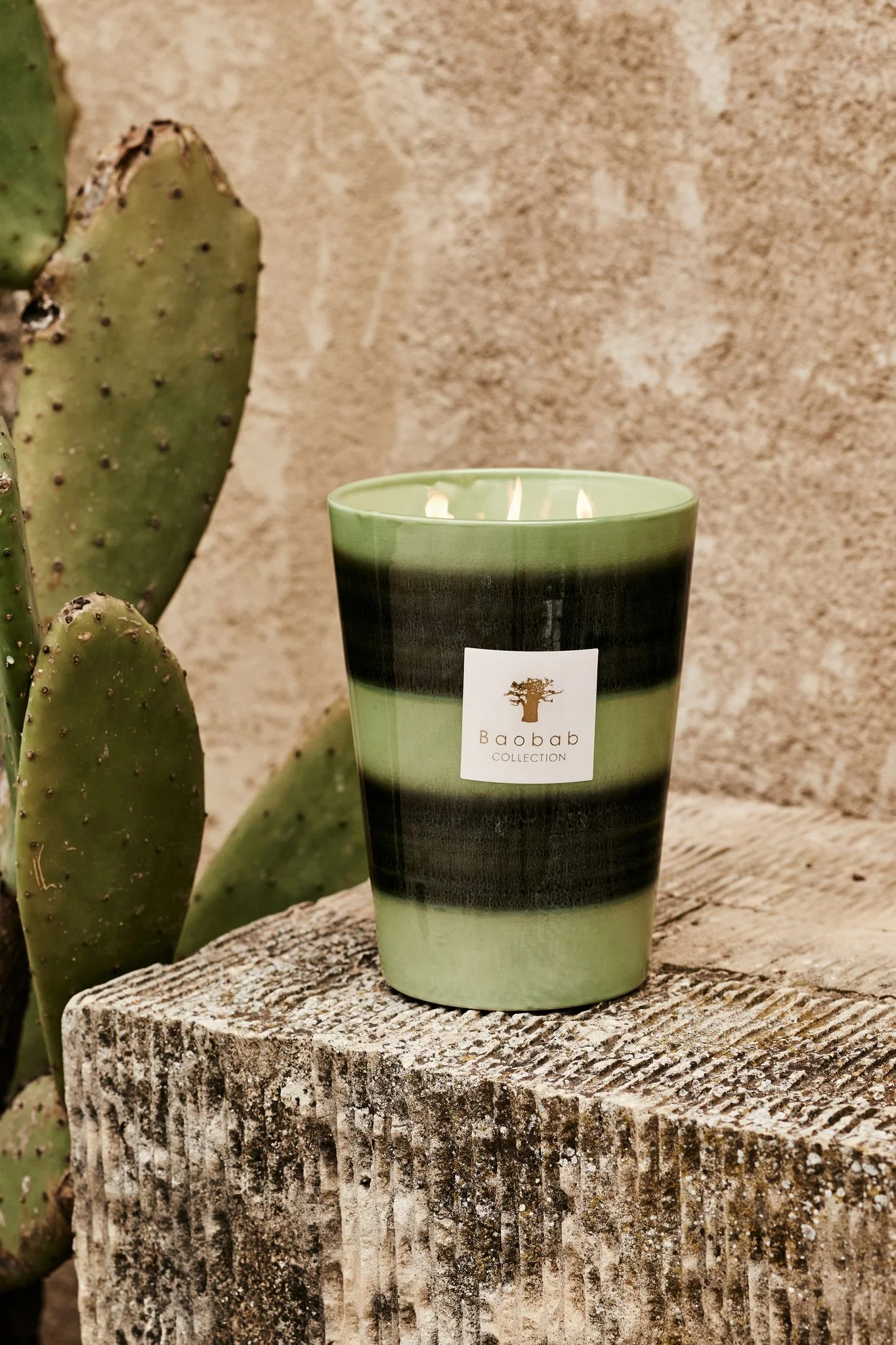 Baobab Collection Elementos Gaia Candle - Image 5