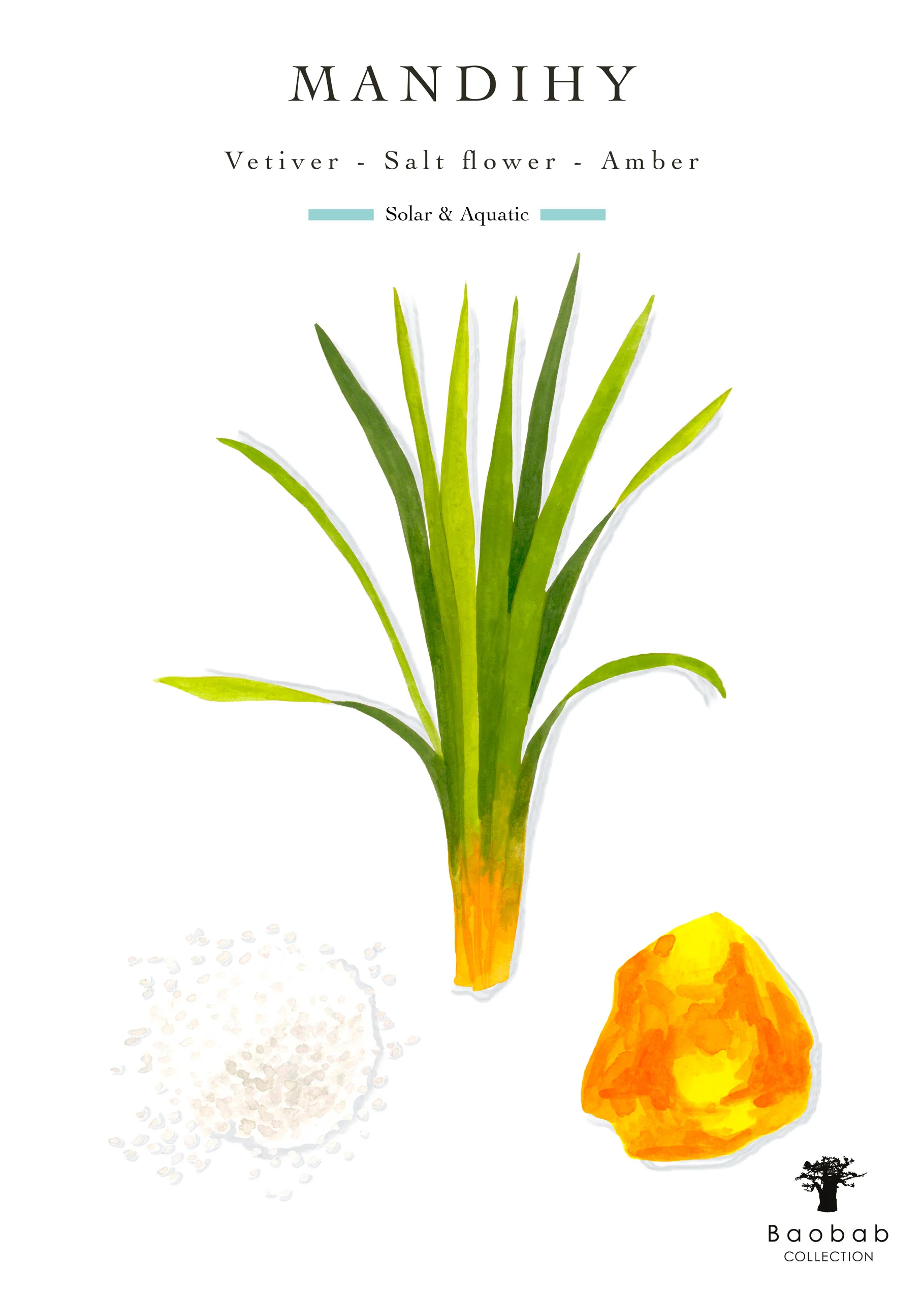 Baobab Collection Fety Mandihy Candle - Image 6