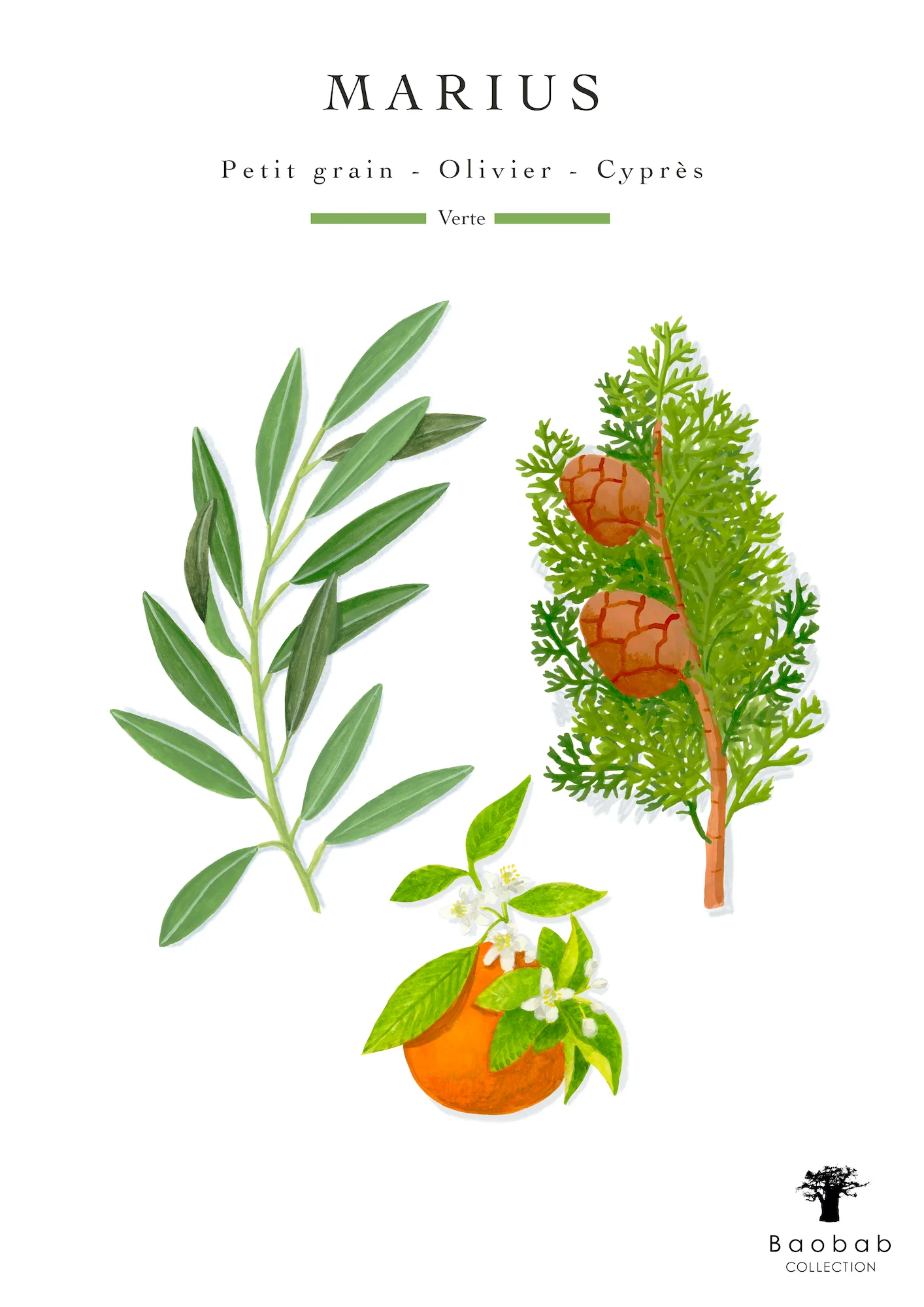 Baobab Collection Leaves Marius Candle - Image 7