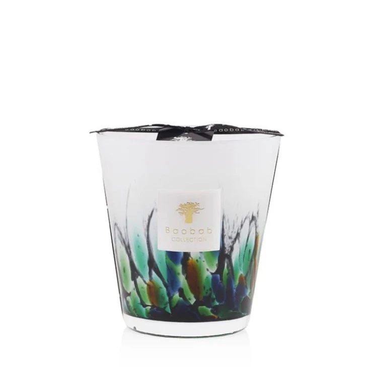 Baobab Collection Rainforest Amazonia Candle - Image 3
