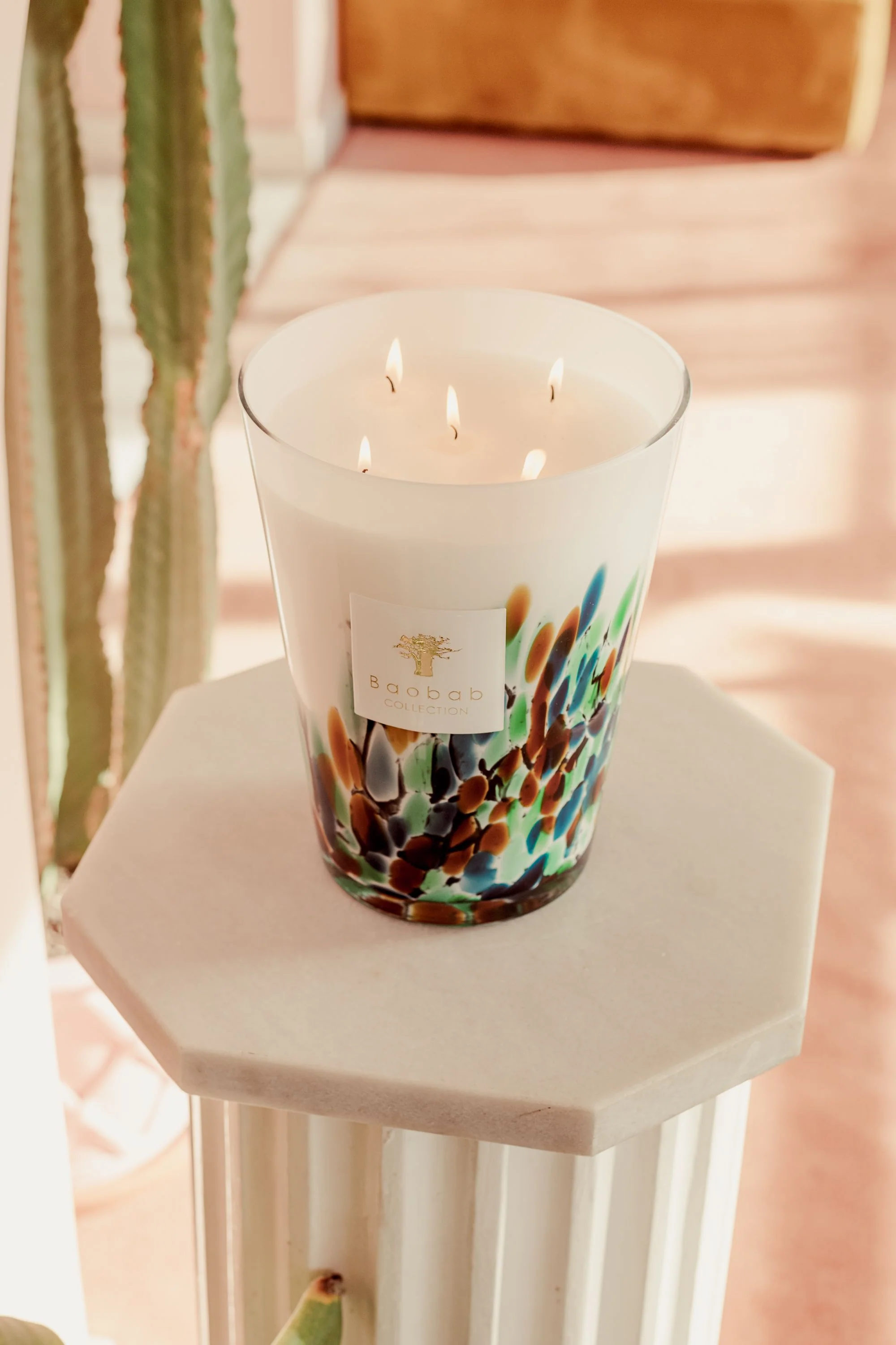 Baobab Collection Rainforest Amazonia Candle - Image 5