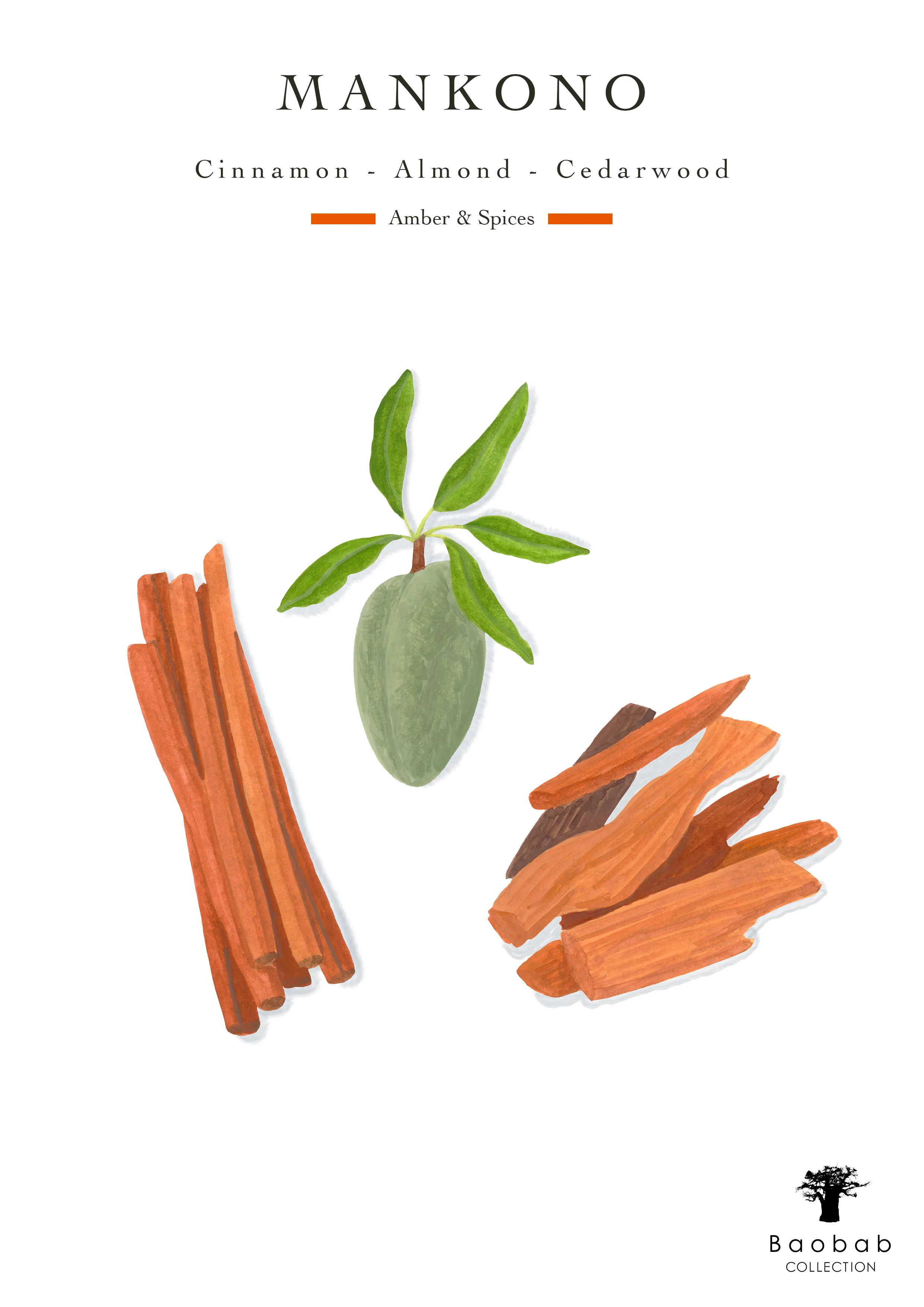 Baobab Collection Sacred Trees Mankono Candle - Image 6
