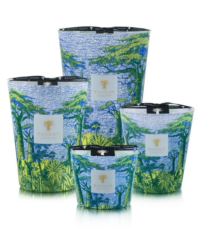 Baobab Collection Sacred Trees Summer Yarani Candle