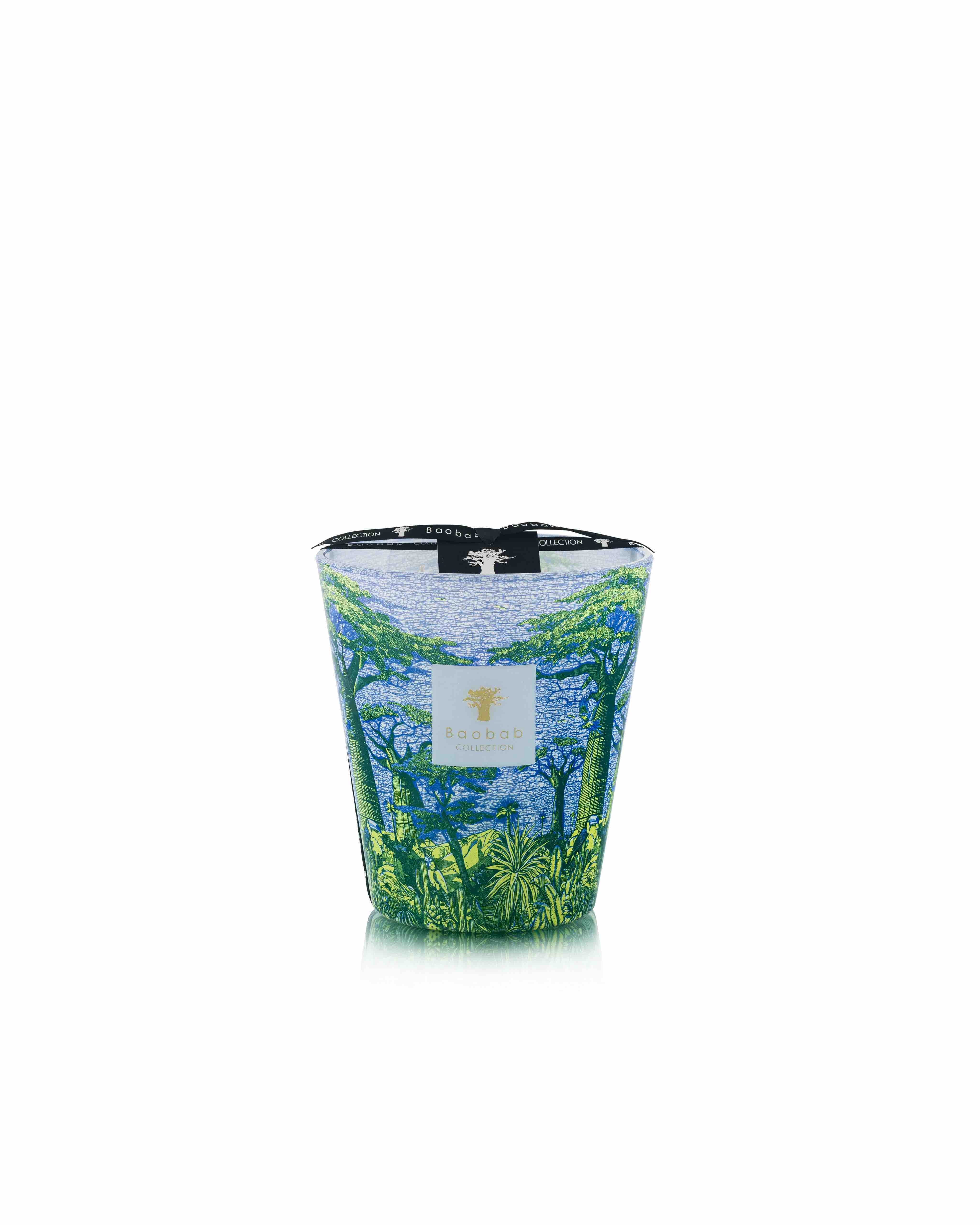 Baobab Collection Sacred Trees Summer Yarani Candle - Image 4