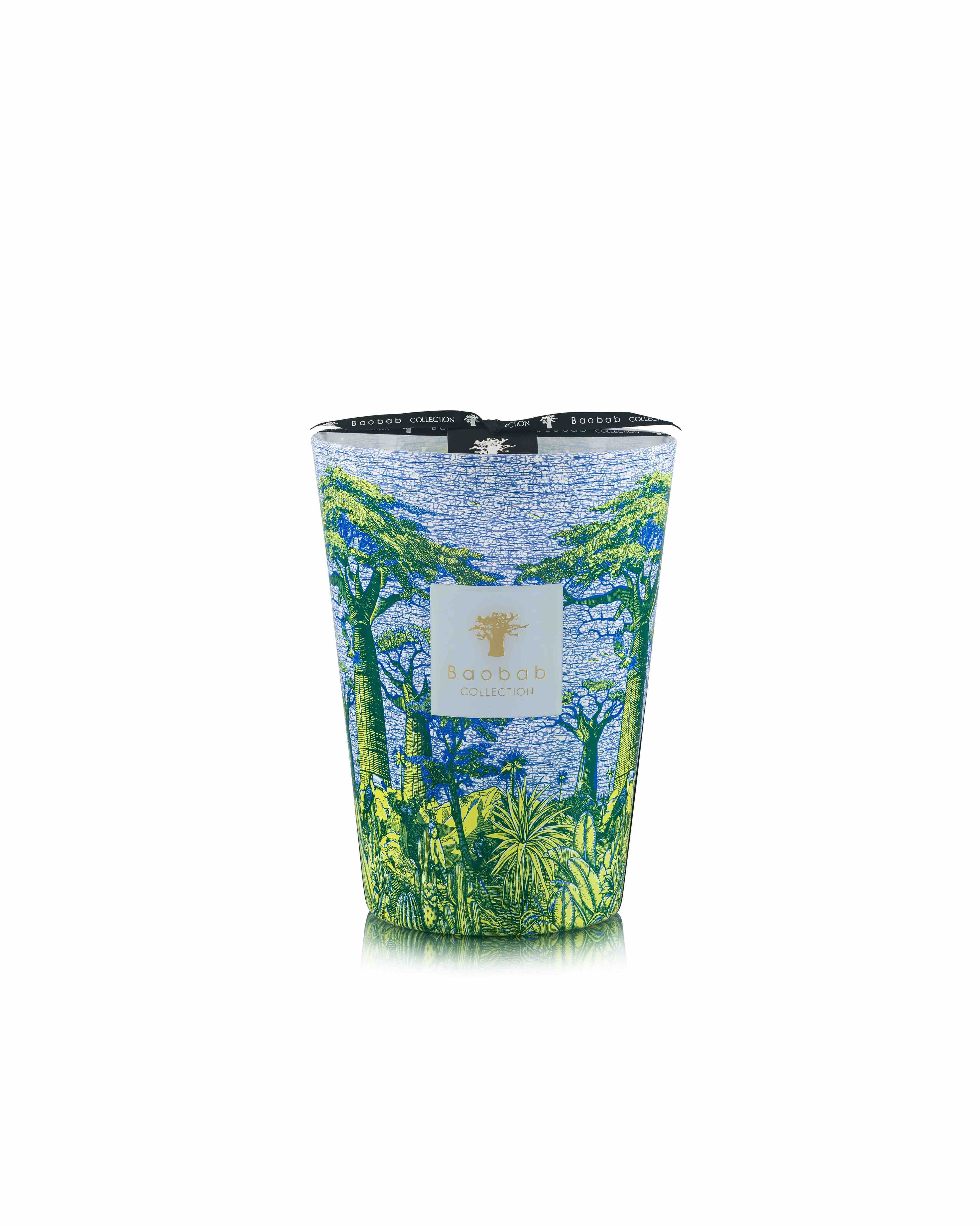 Baobab Collection Sacred Trees Summer Yarani Candle - Image 5