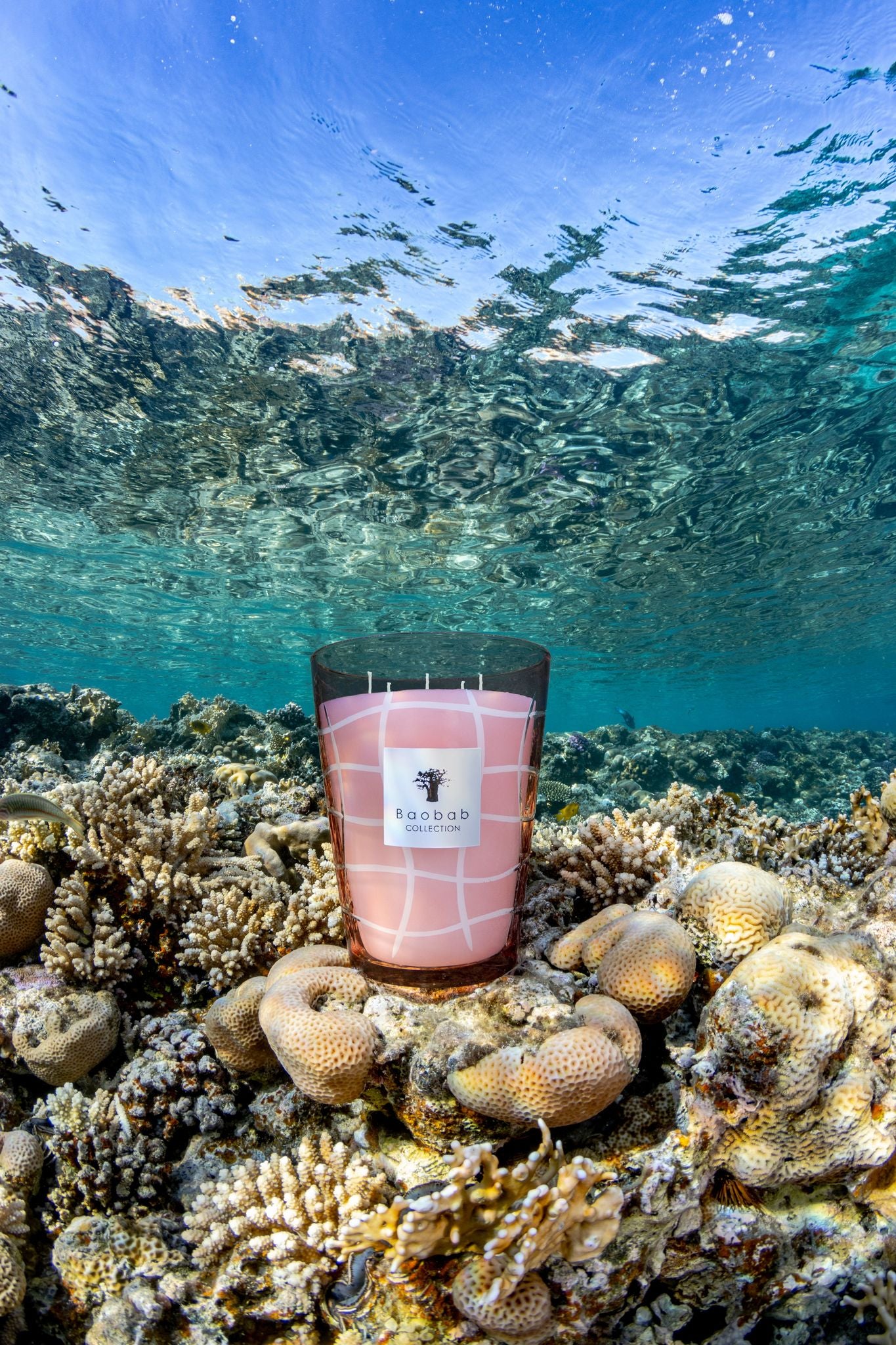 Baobab Collection Waves Malibu Candle - Image 5