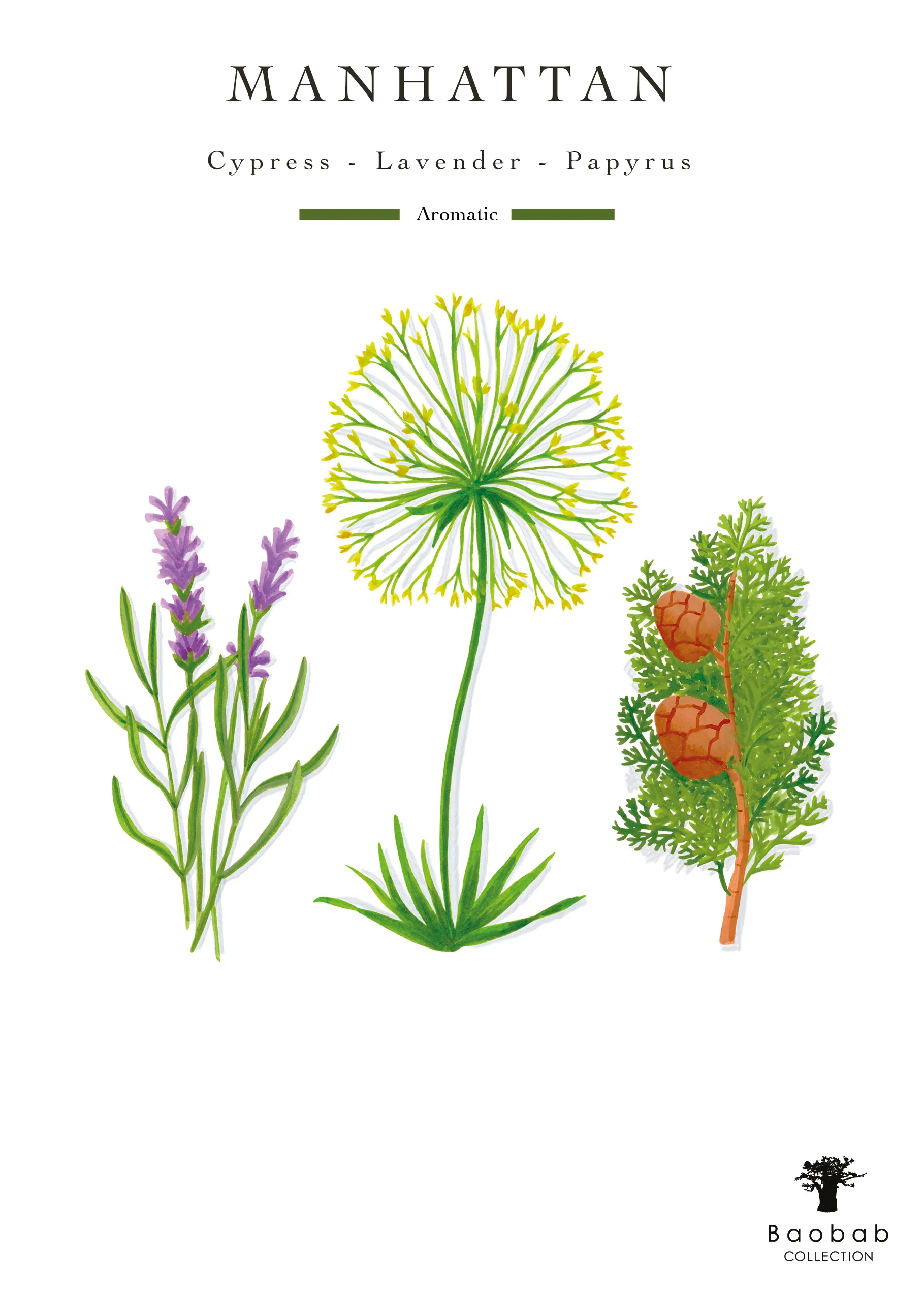 Baobab Collection Manhattan Body Wellness Collection - Image 7