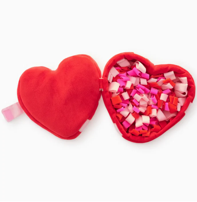 Be My Valentine Interactive Snuffle Dog Toy - Image 2