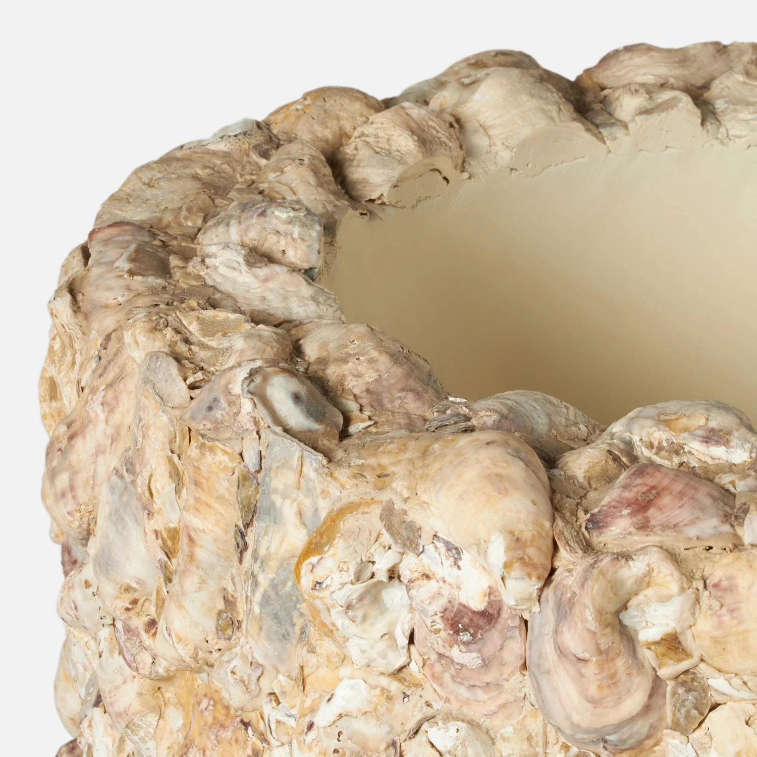 Borsala Oyster Shell Planter, Large - Image 2