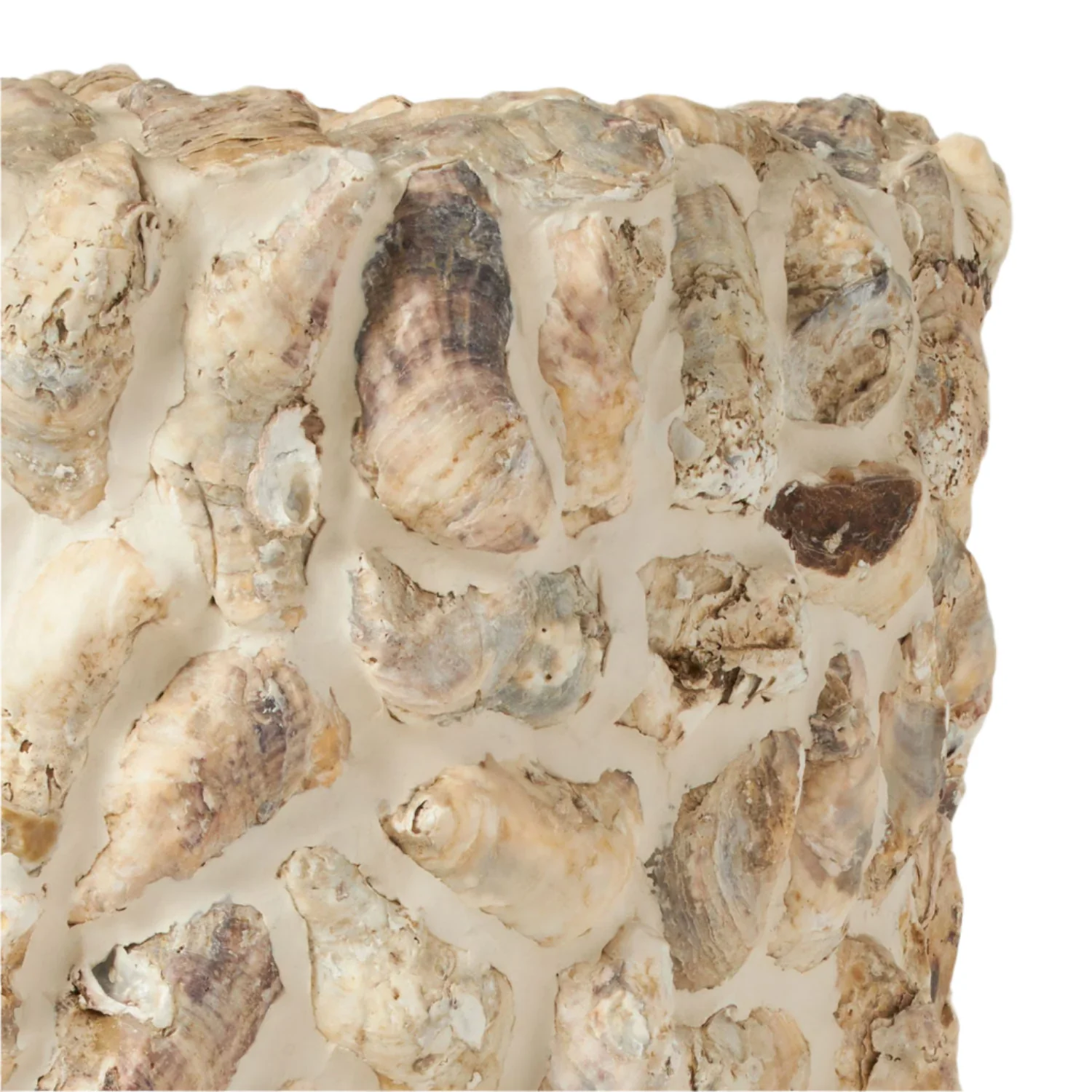 Borsala Oyster Shell Planter, Small - Image 2