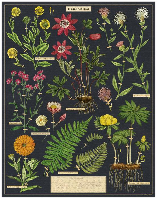 Herbarium 1,000 Piece Puzzle - Image 2