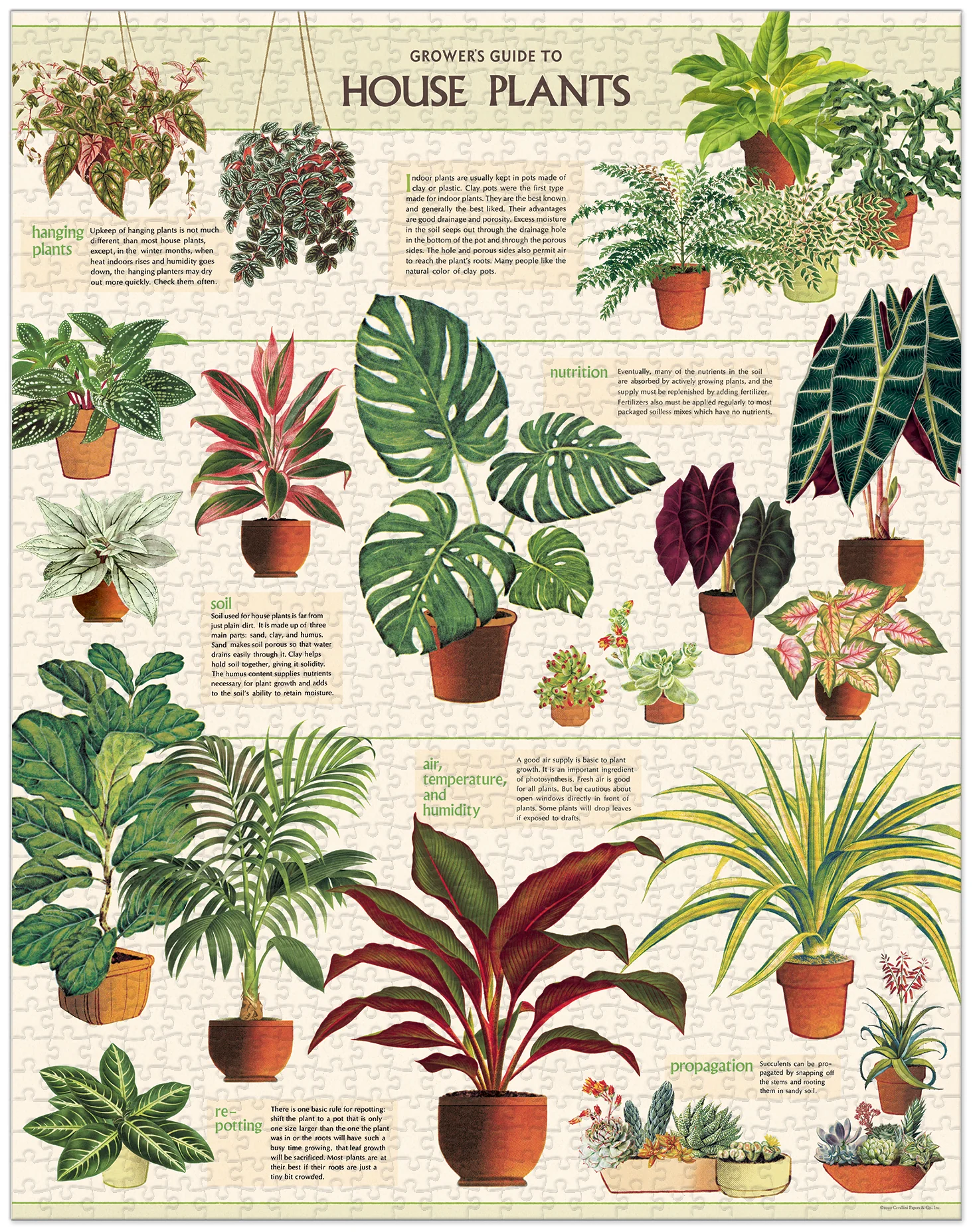 House Plants 1,000 Piece Puzzle - Image 2